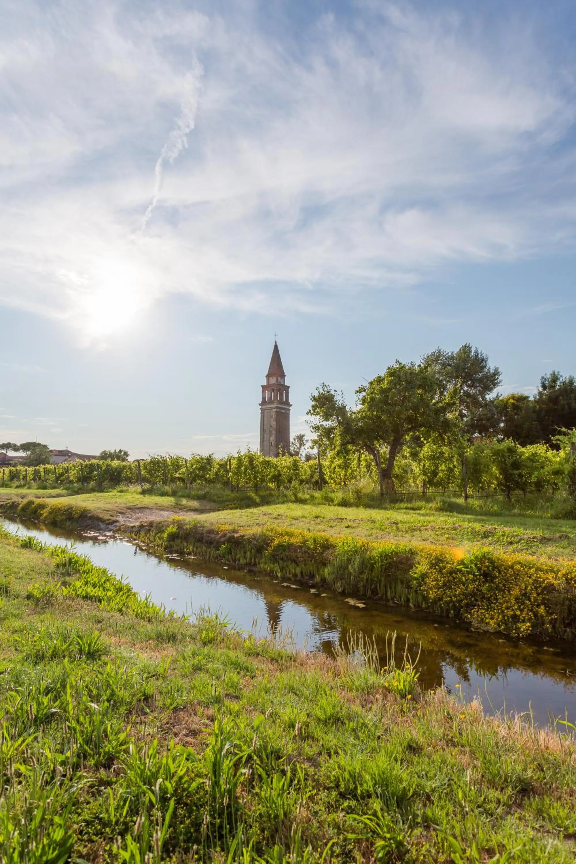 Natural landscape in Venissa Wine Resort