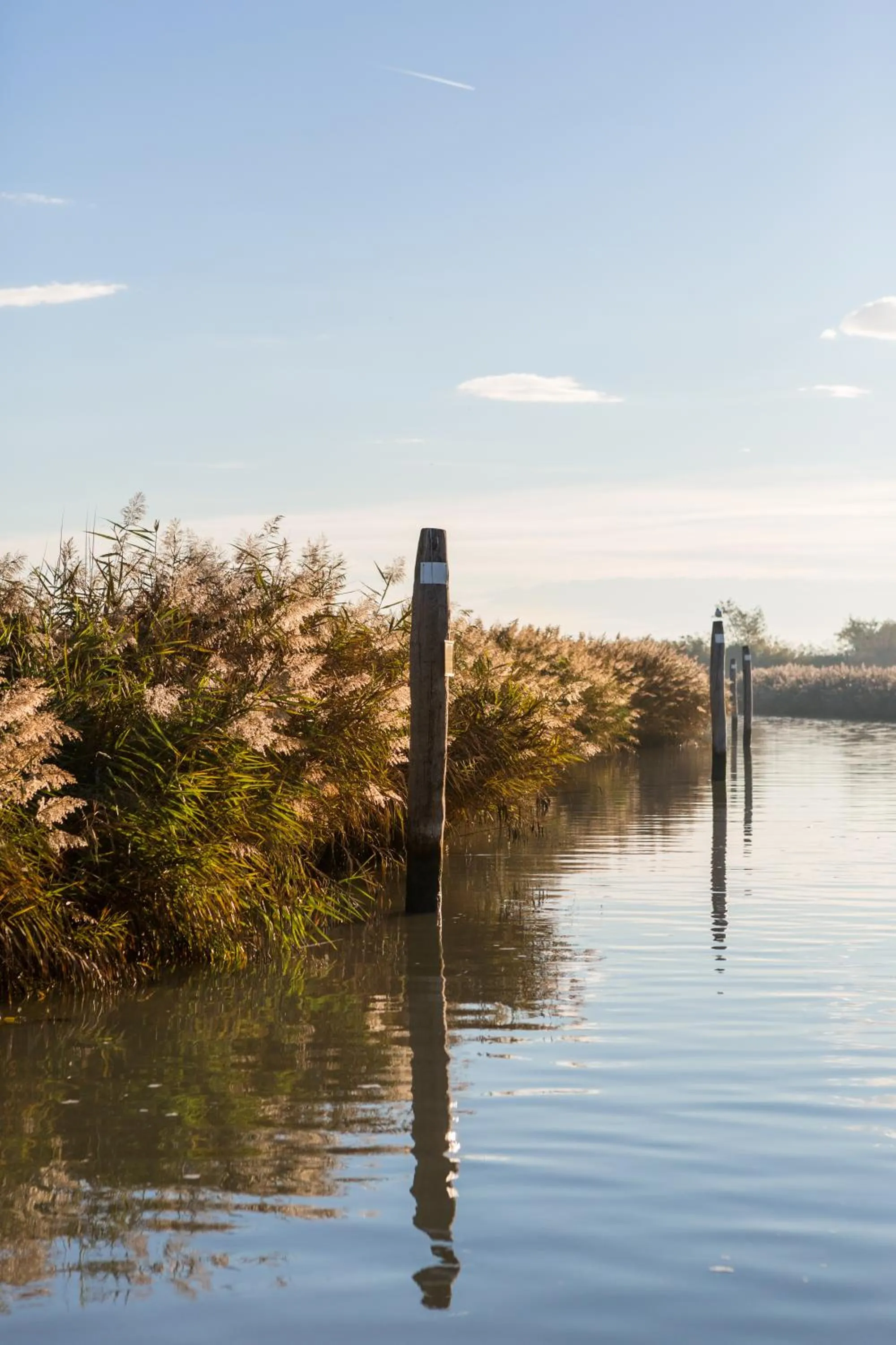 Natural landscape in Venissa Wine Resort