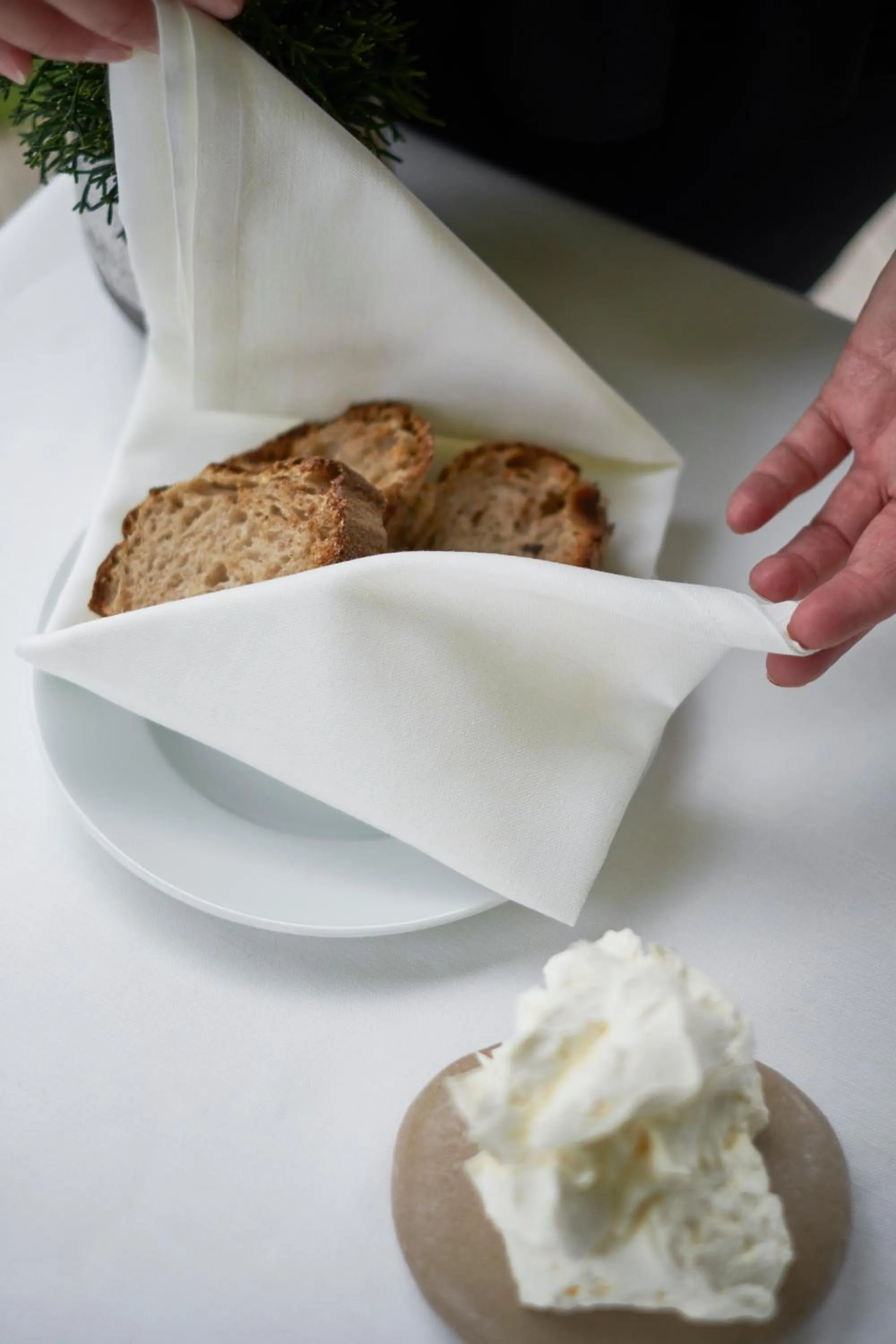 Restaurant/places to eat in Venissa Wine Resort