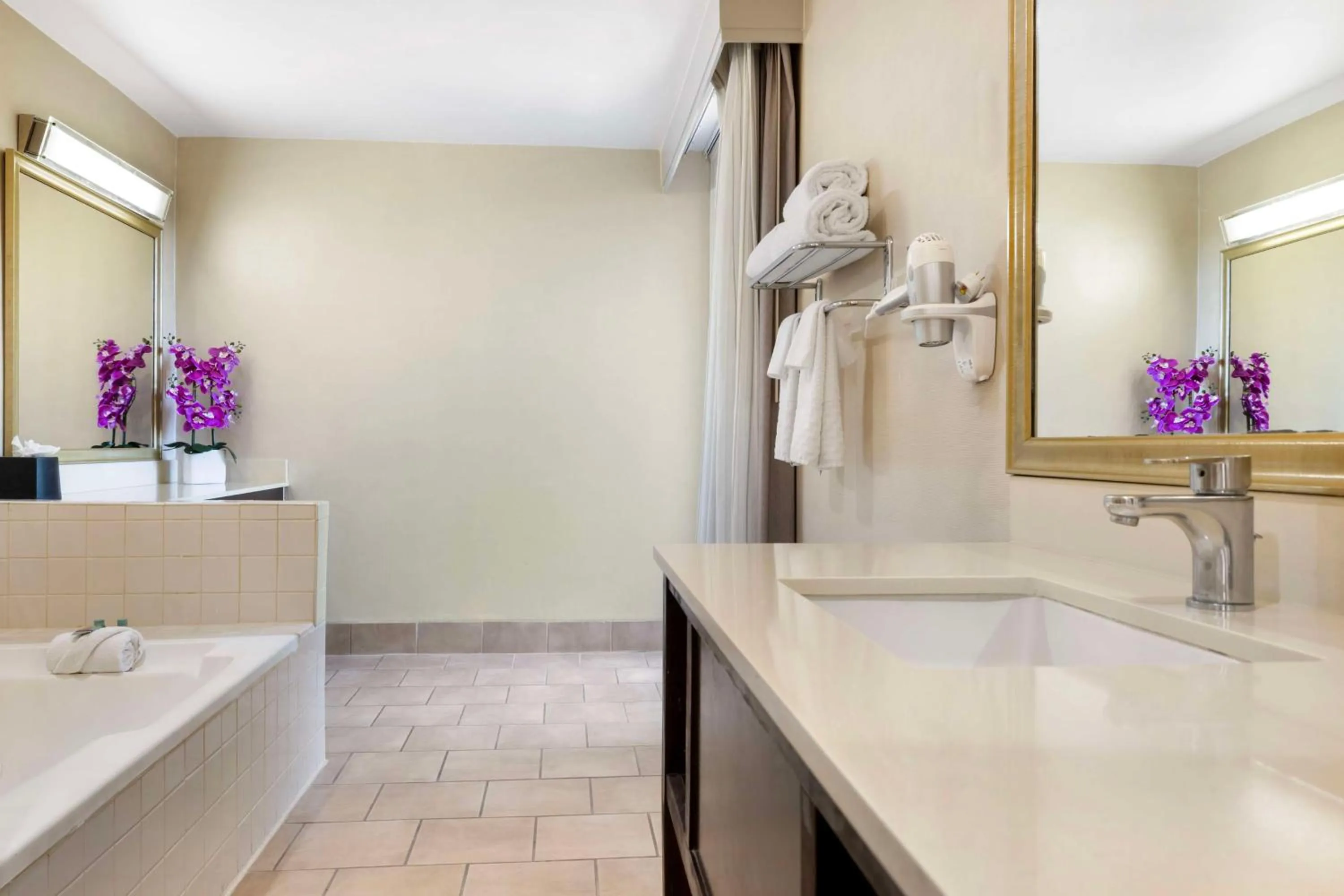 Bathroom in Best Western Royal Palace Inn & Suites