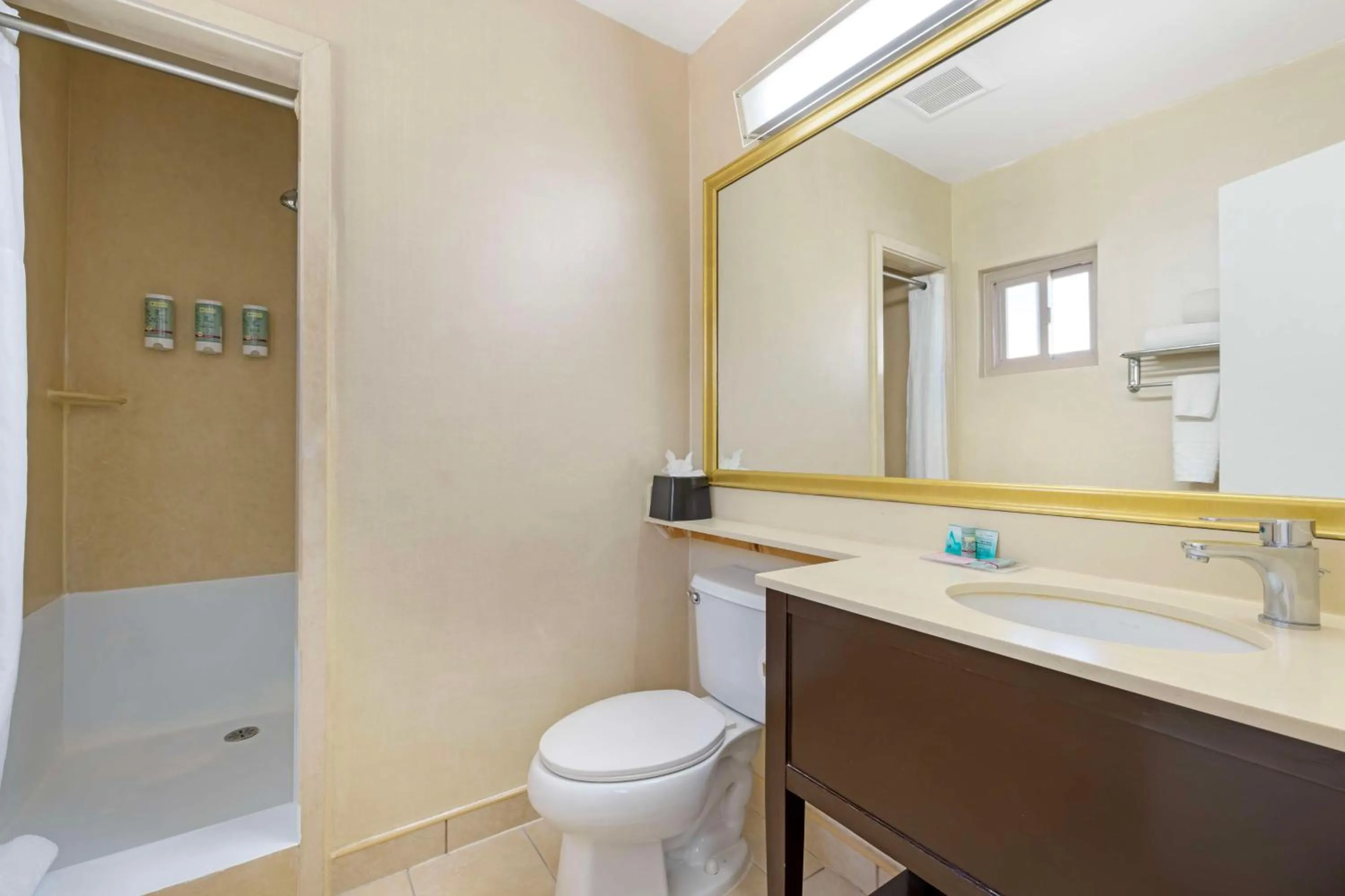 Bathroom in Best Western Royal Palace Inn & Suites