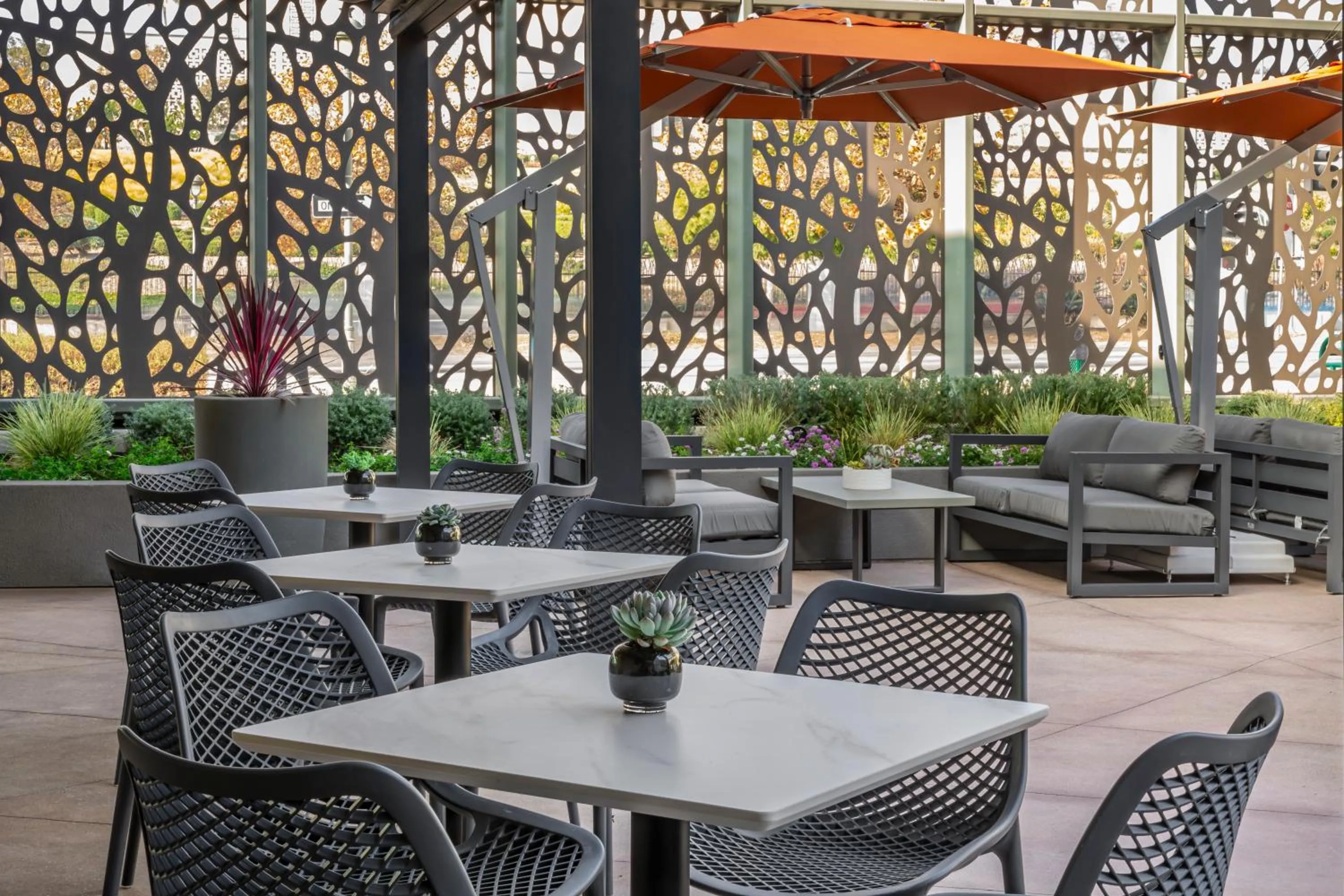 Restaurant/places to eat in Olivia Hotel