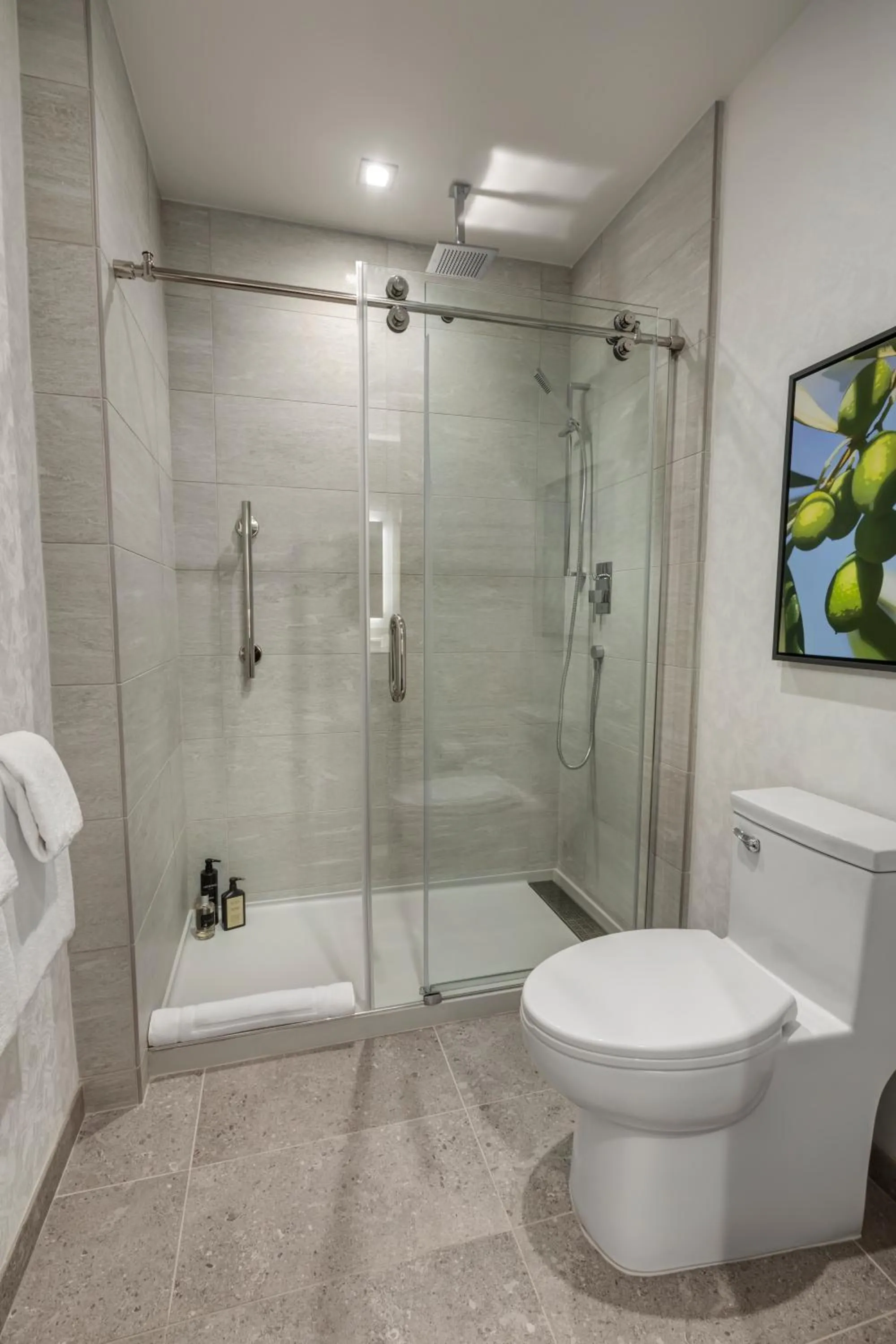 Shower in Olivia Hotel