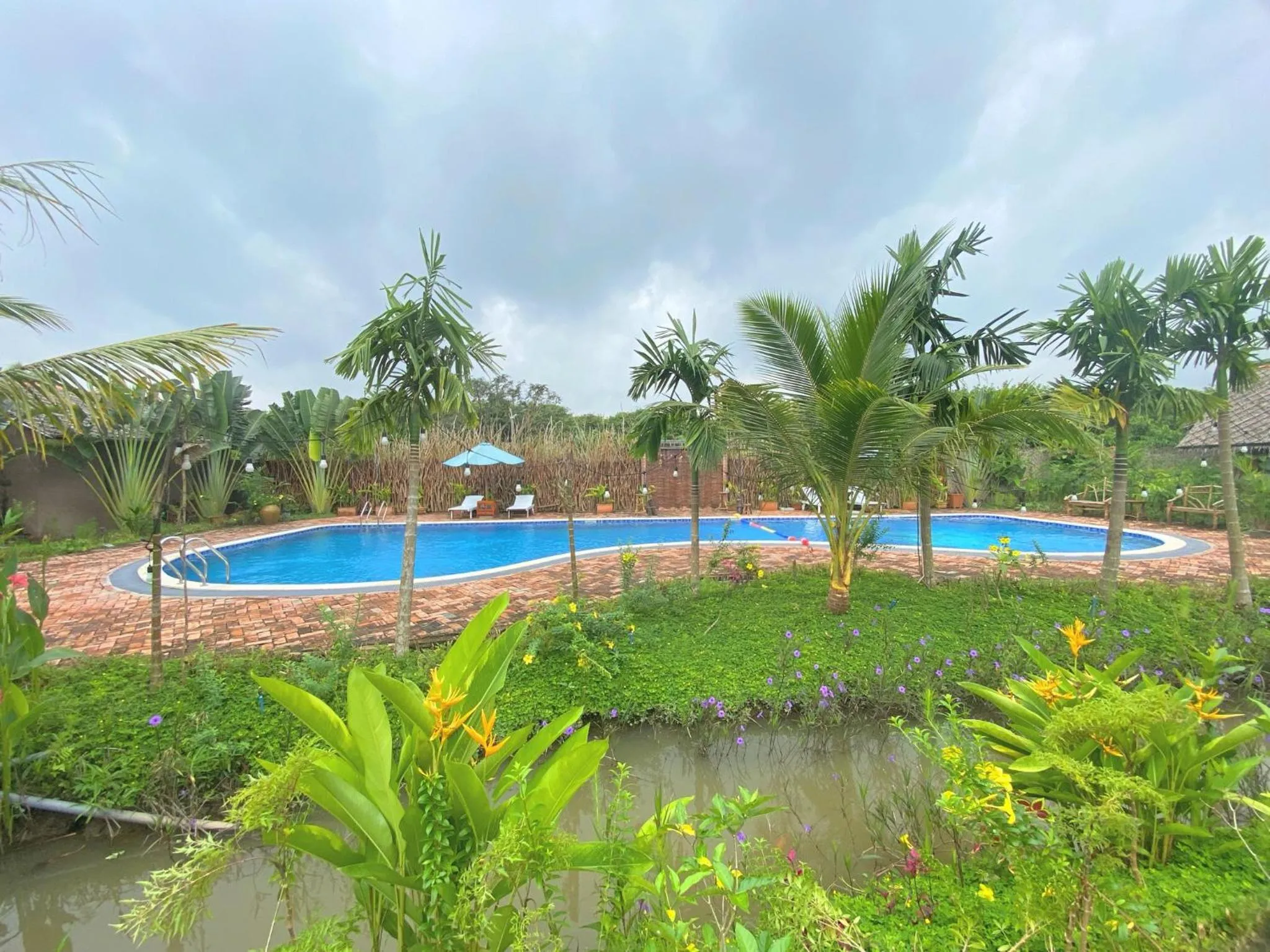 Pool view in MEKONG SILT ECOLODGE