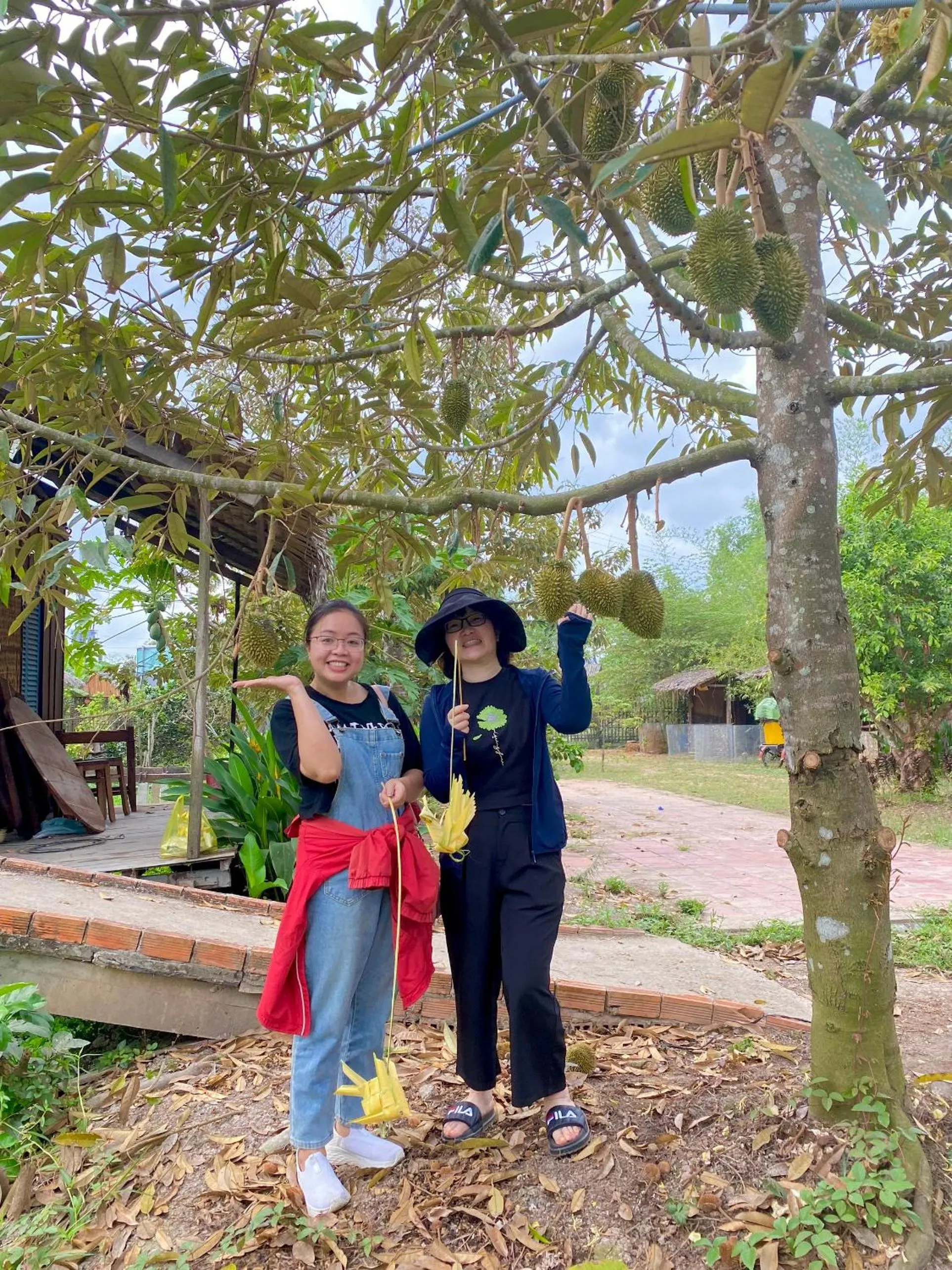 MEKONG SILT ECOLODGE