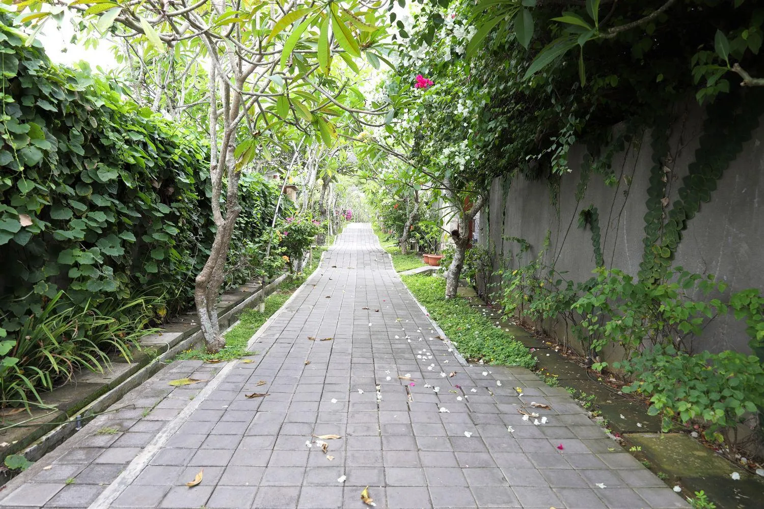 Other in Moritz Palm Villa