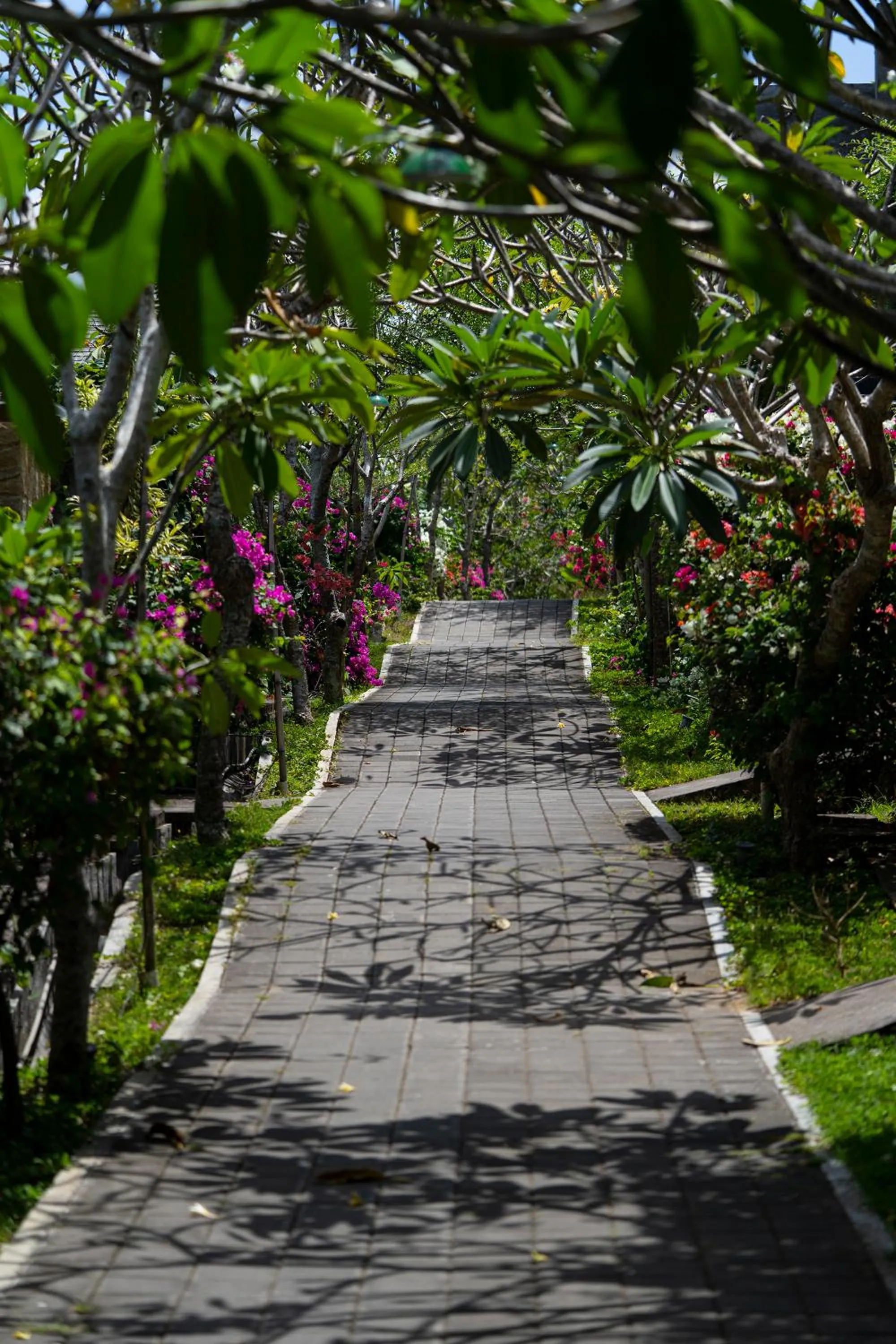 Garden in Moritz Palm Villa