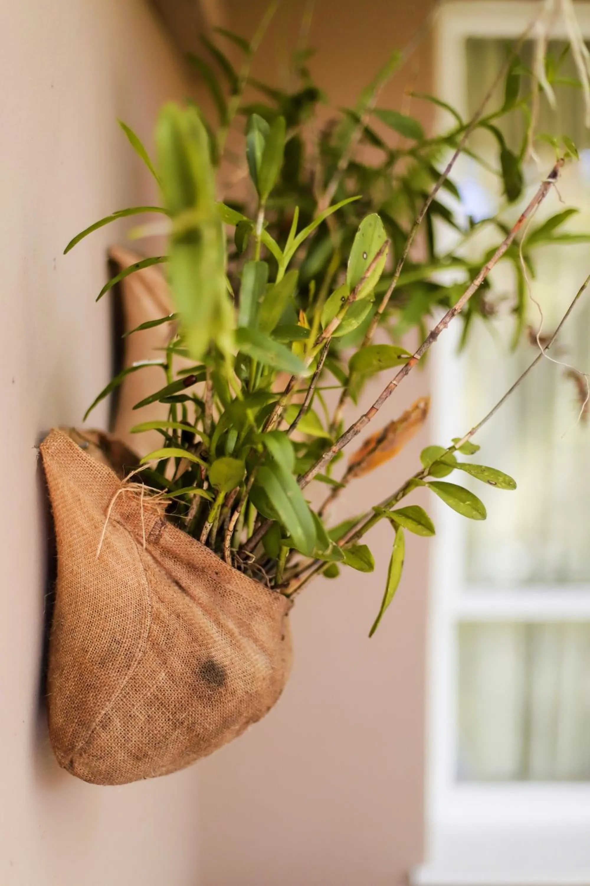 Decorative detail in Mantenga Lodge