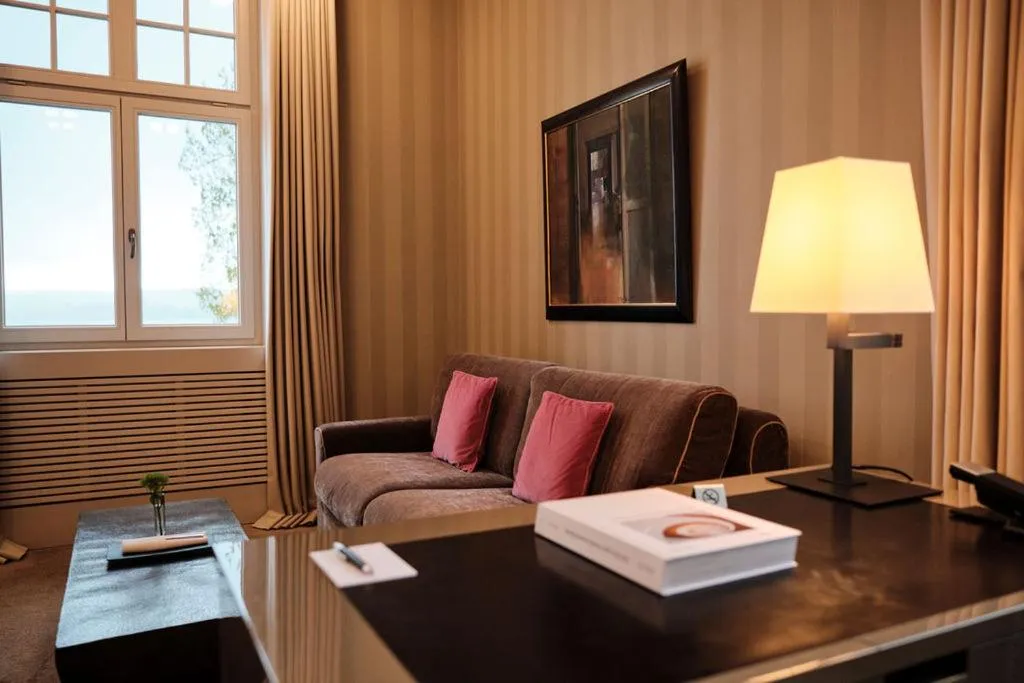 View (from property/room) in RIVA - Das Hotel am Bodensee