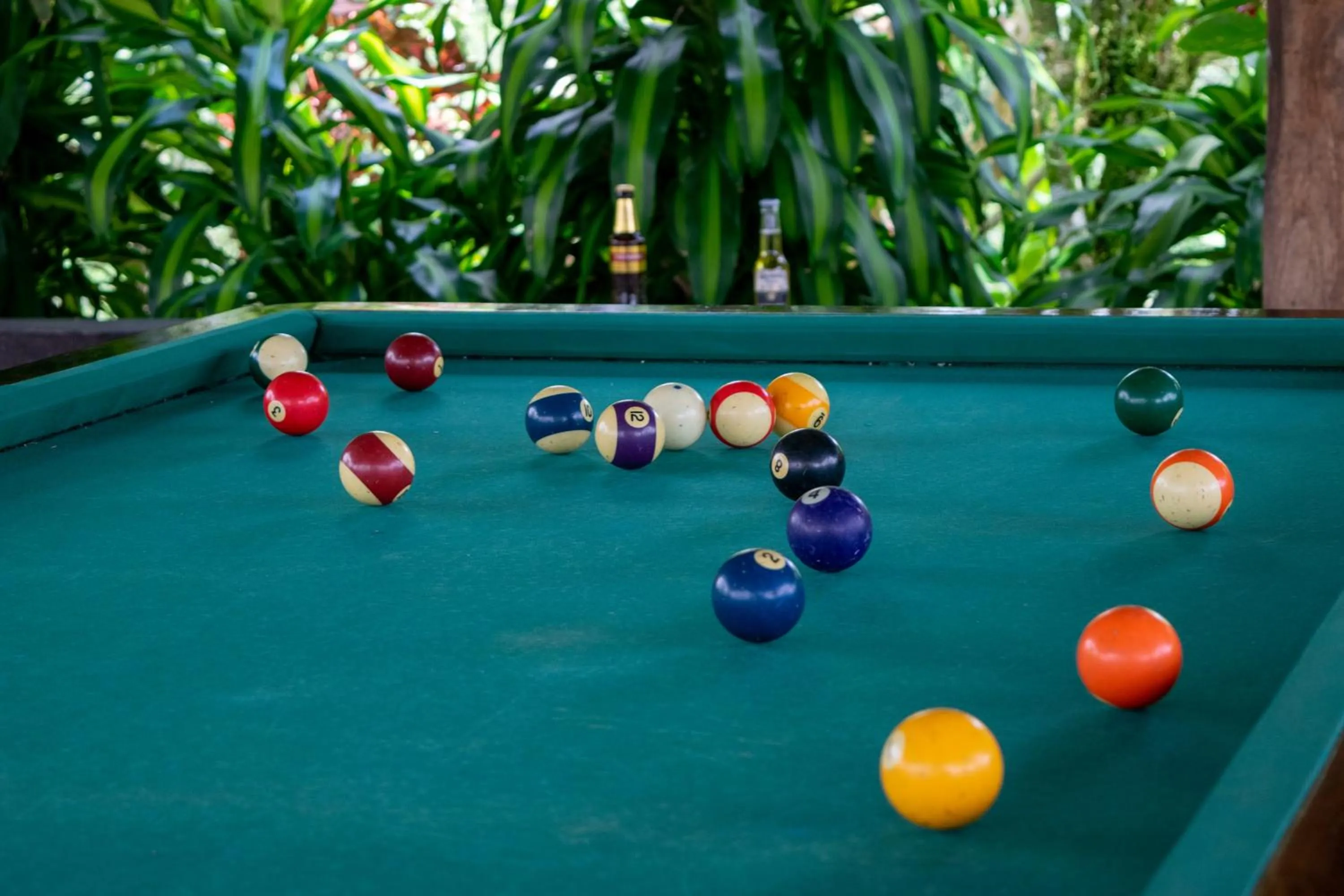 Billiard in Hotel Eden Parque del Cafe