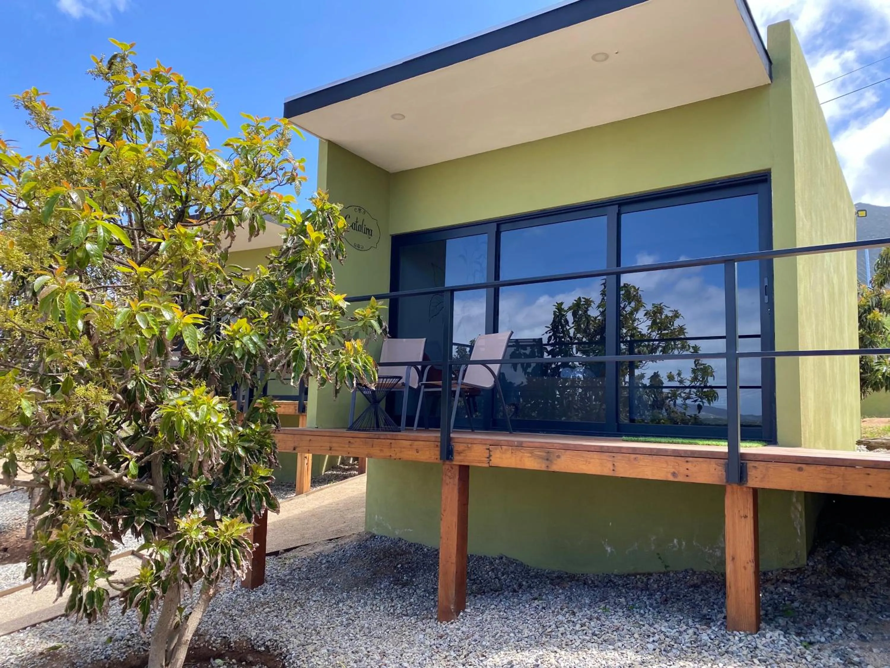 Property building in Palta 60 Valle de Guadalupe