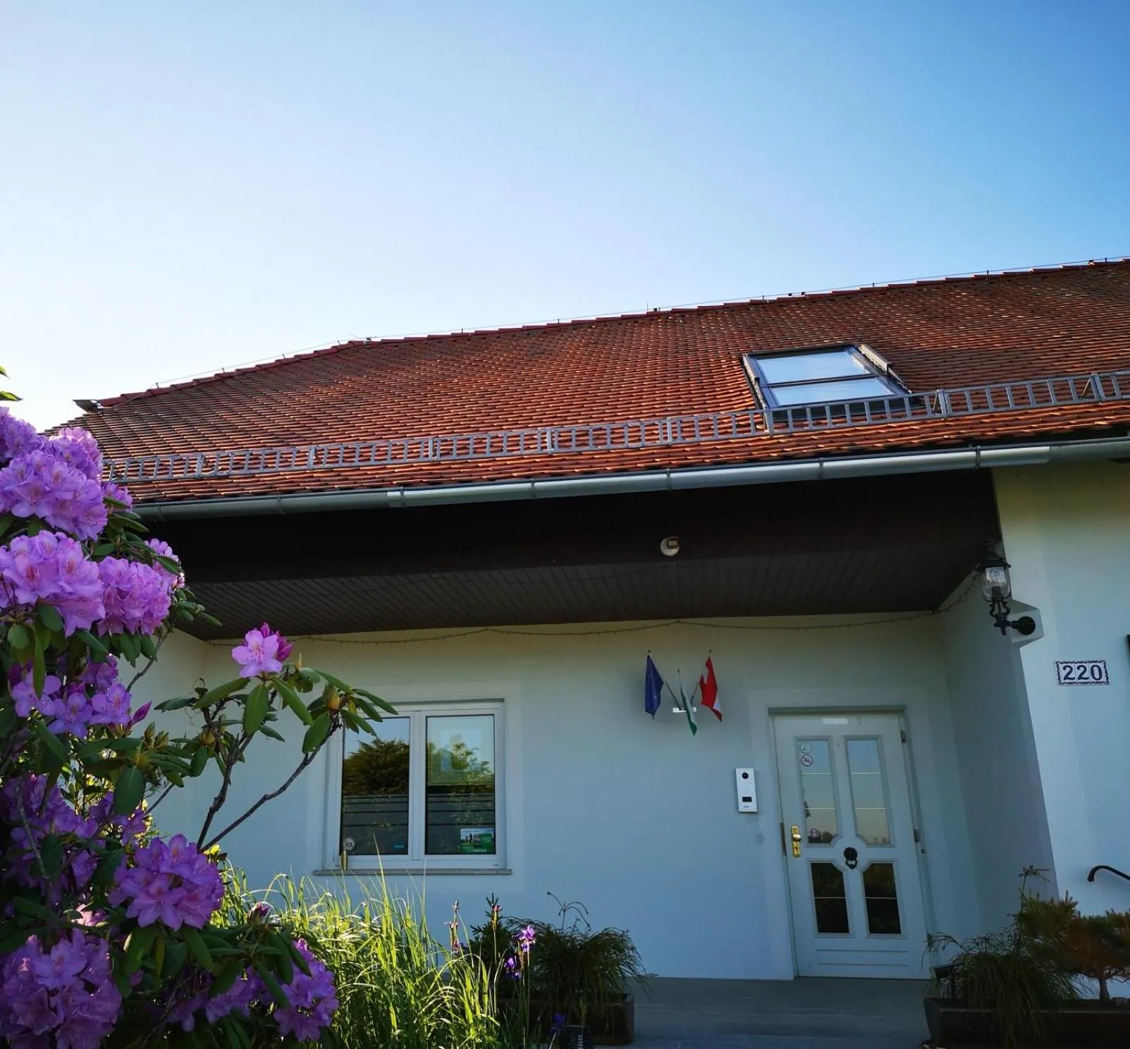 Property building in Aparthotel "Goldener Hahn Apartments"
