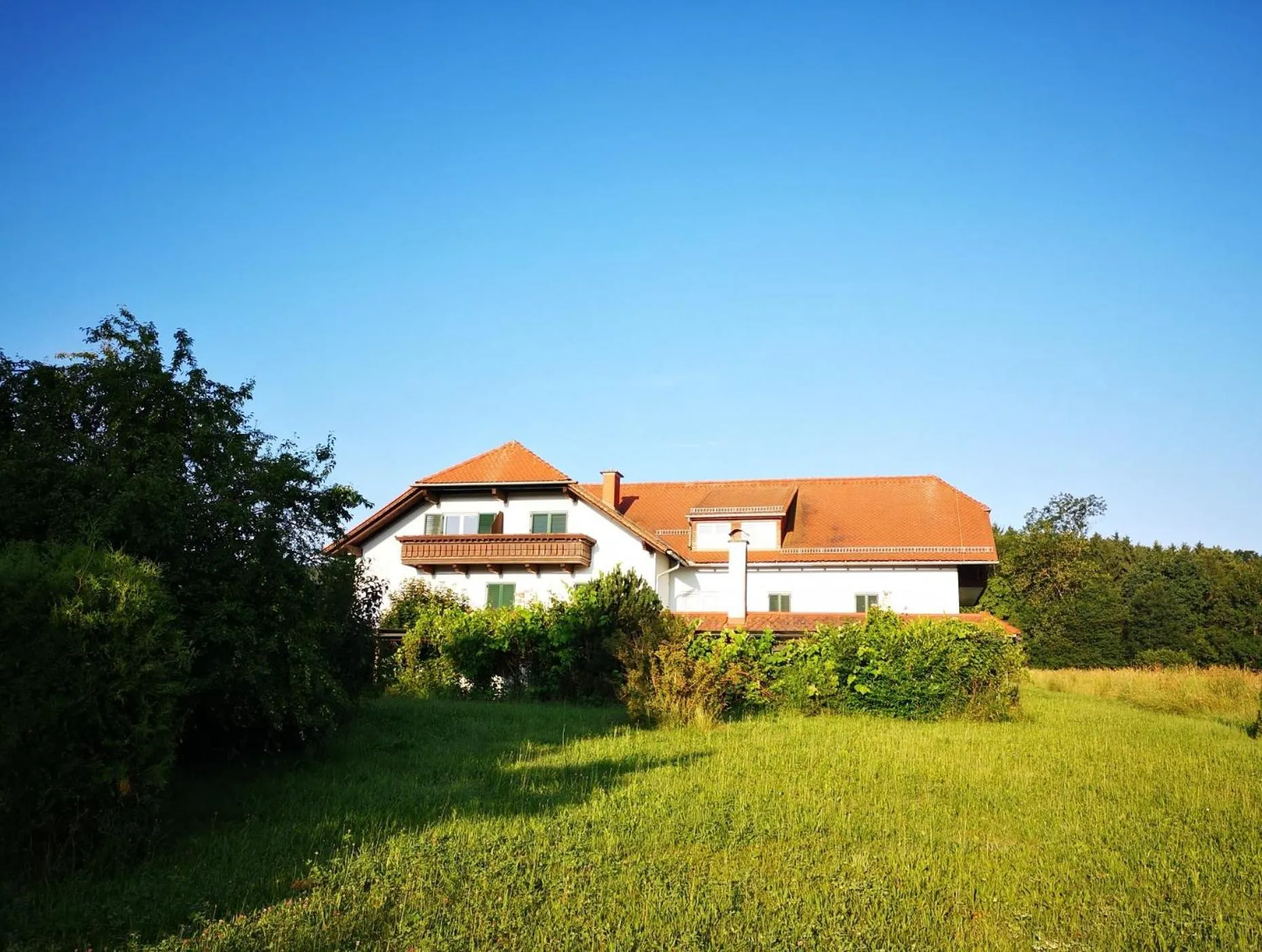 Area and facilities in Aparthotel "Goldener Hahn Apartments"