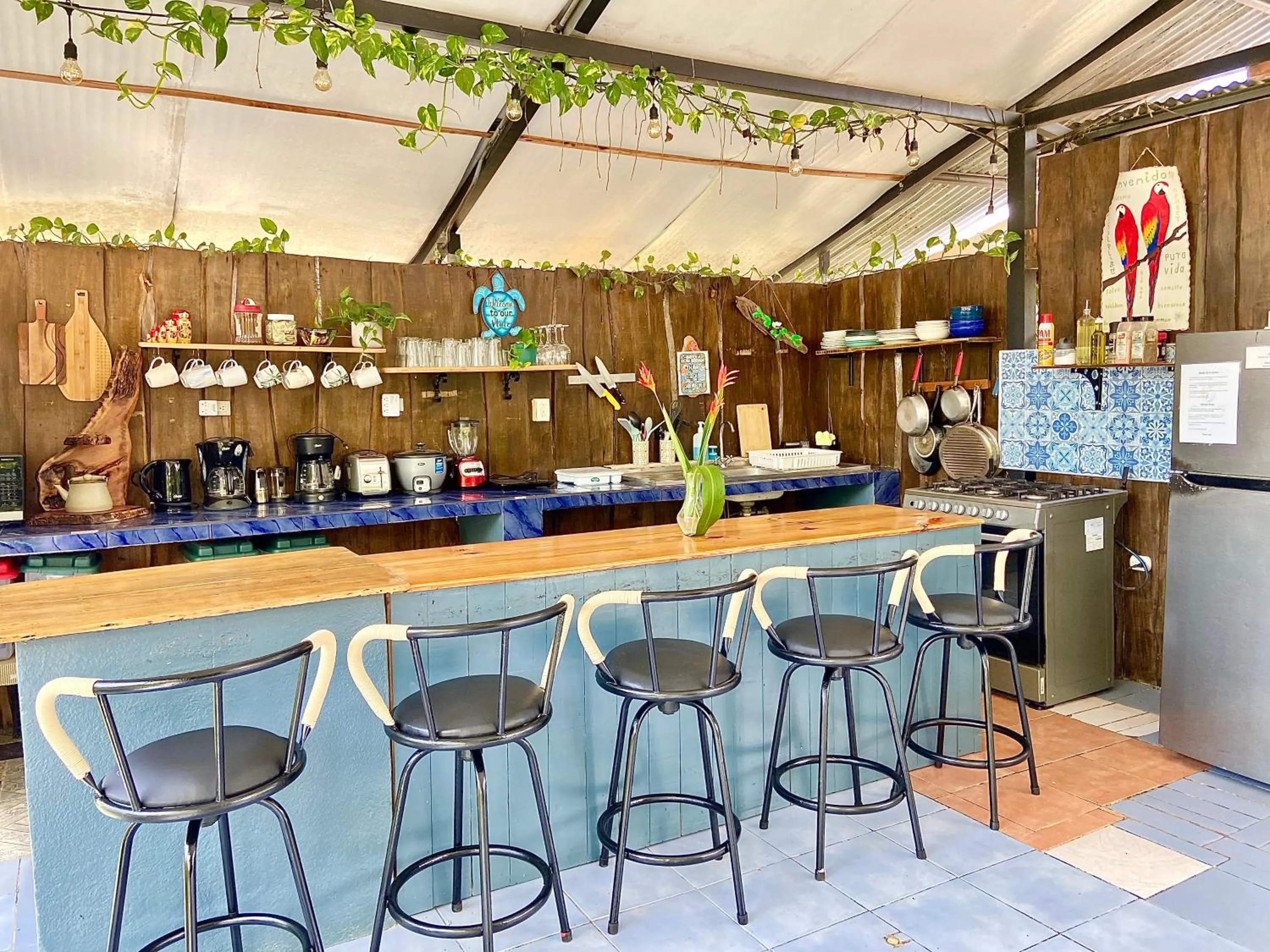 Communal kitchen in Rooms & Pool Macaws