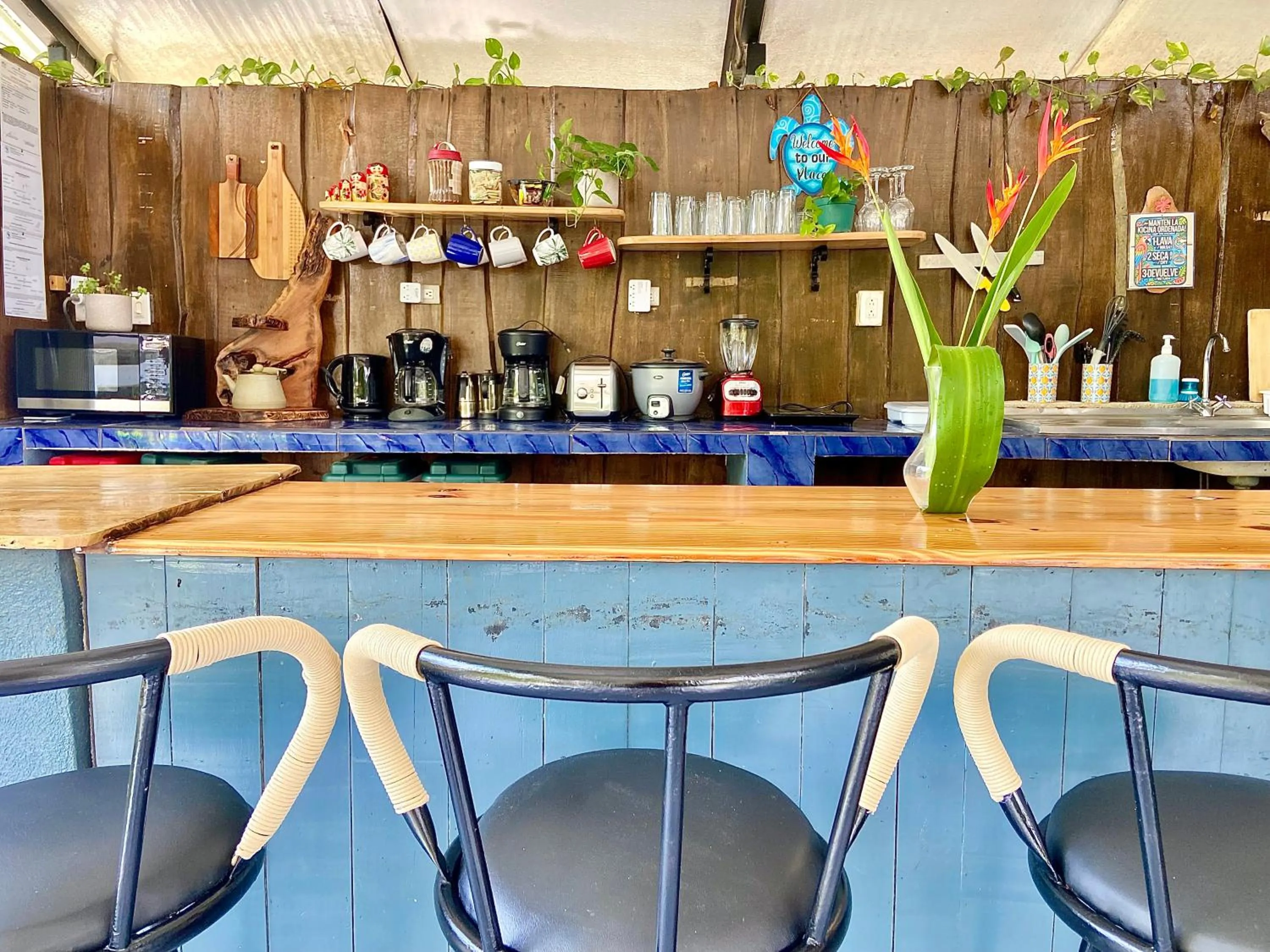 Communal kitchen in Rooms & Pool Macaws