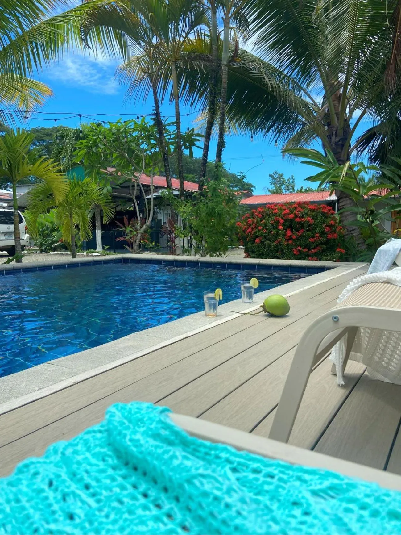 sunbed in Rooms & Pool Macaws