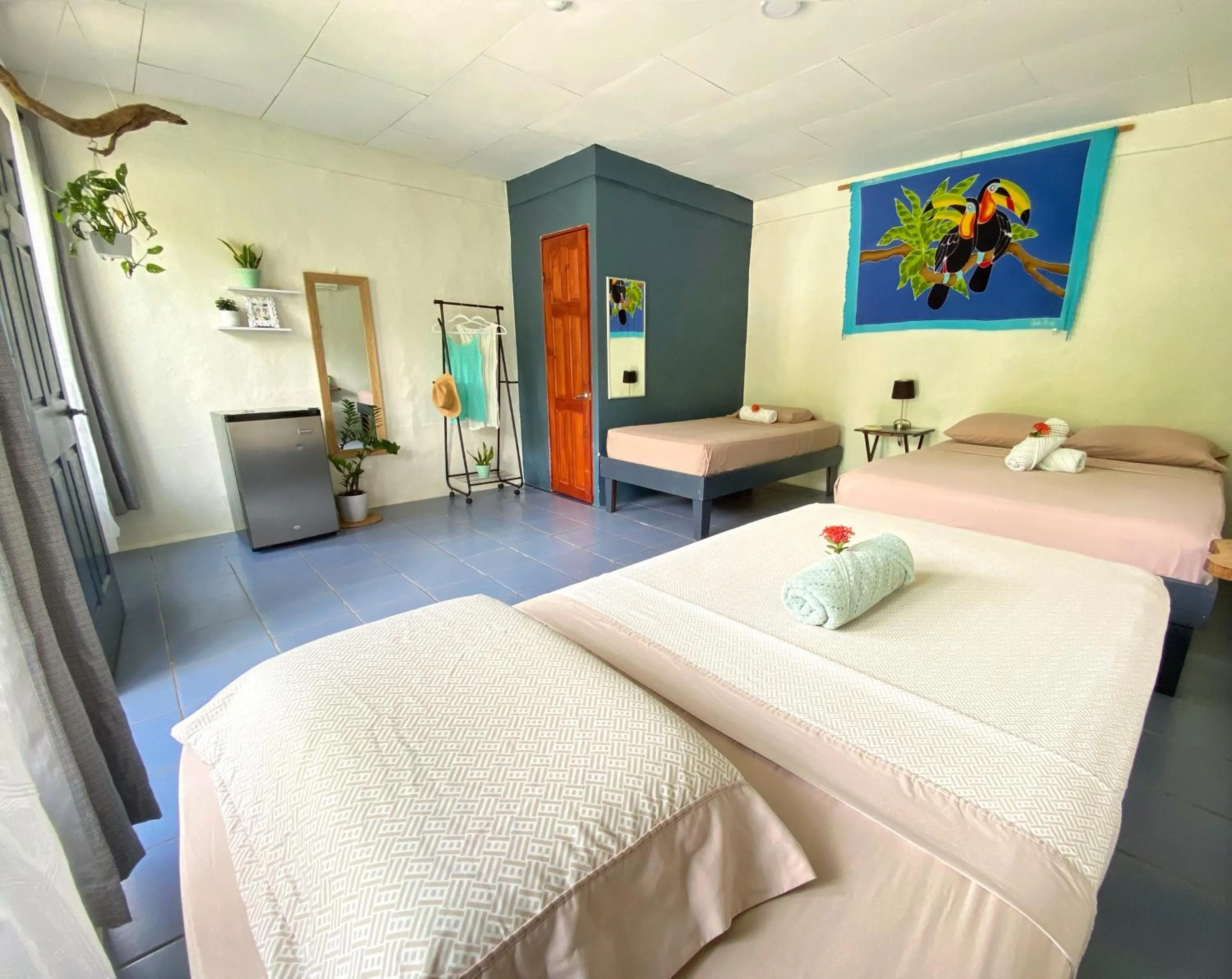 Family, Bed in Rooms & Pool Macaws