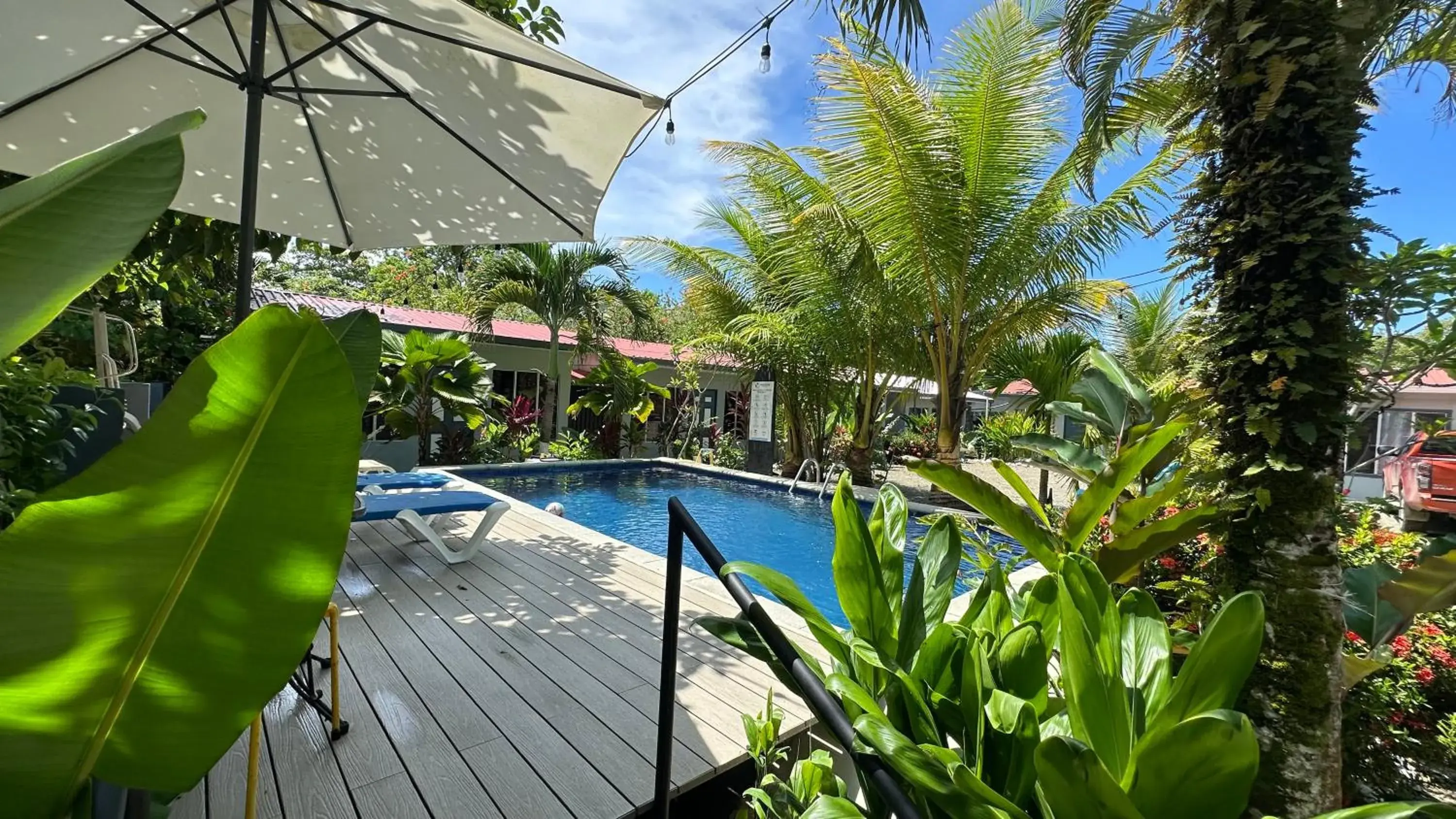 Rooms & Pool Macaws Rooms & Pool Macaws