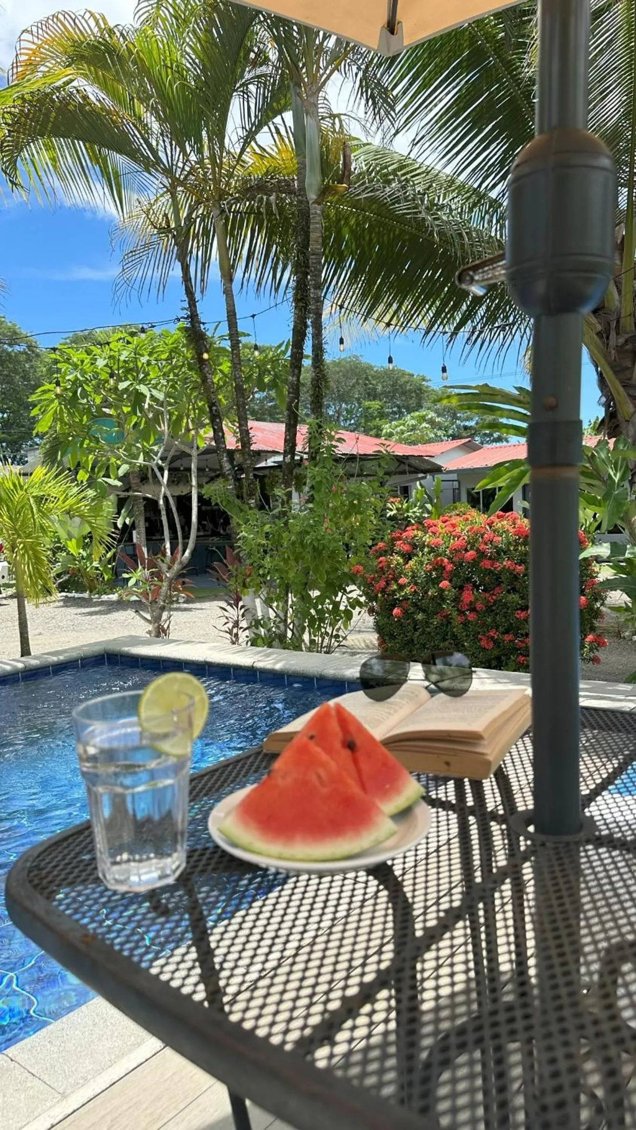 Swimming pool in Rooms & Pool Macaws