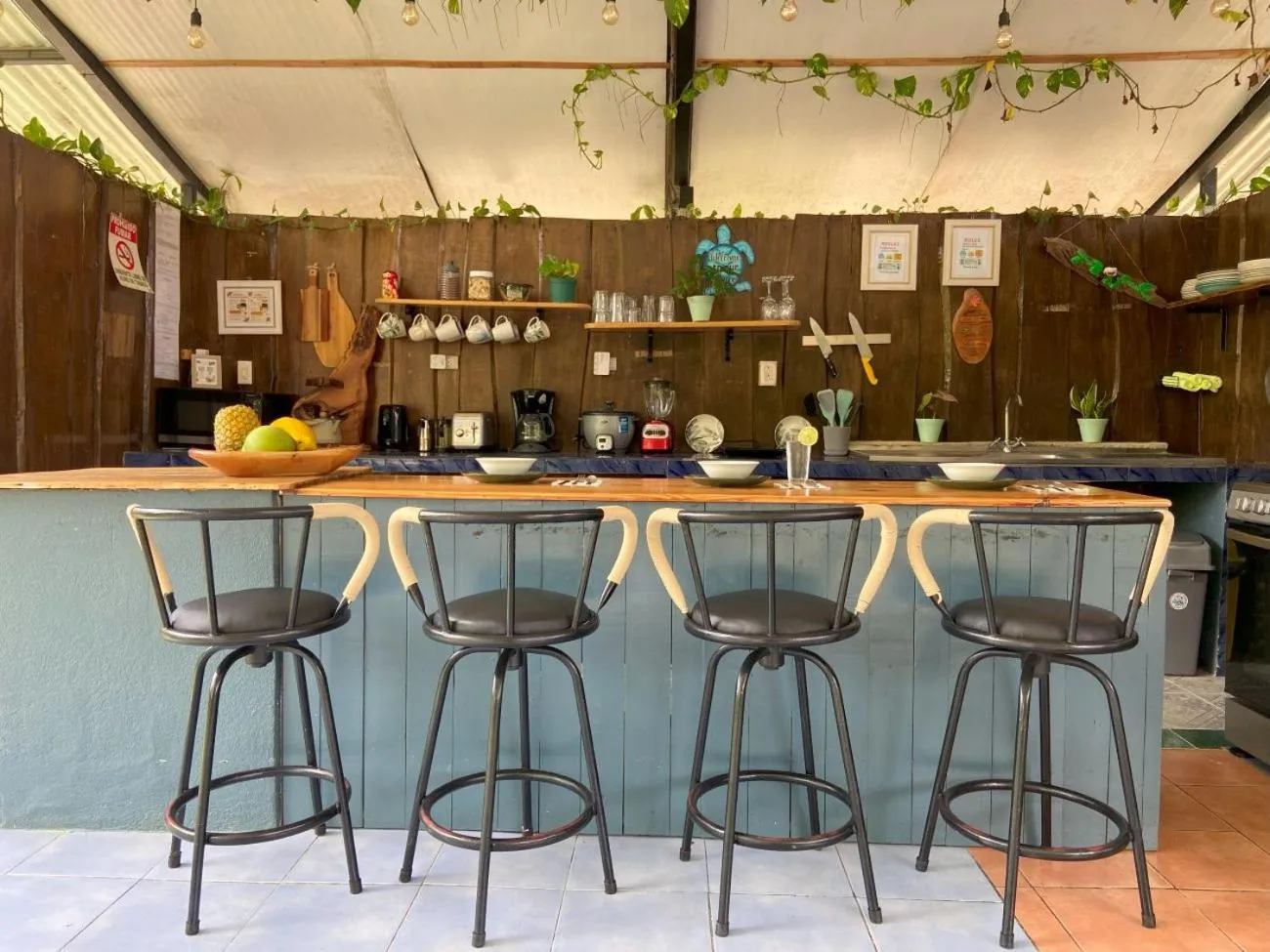 Off site in Rooms & Pool Macaws