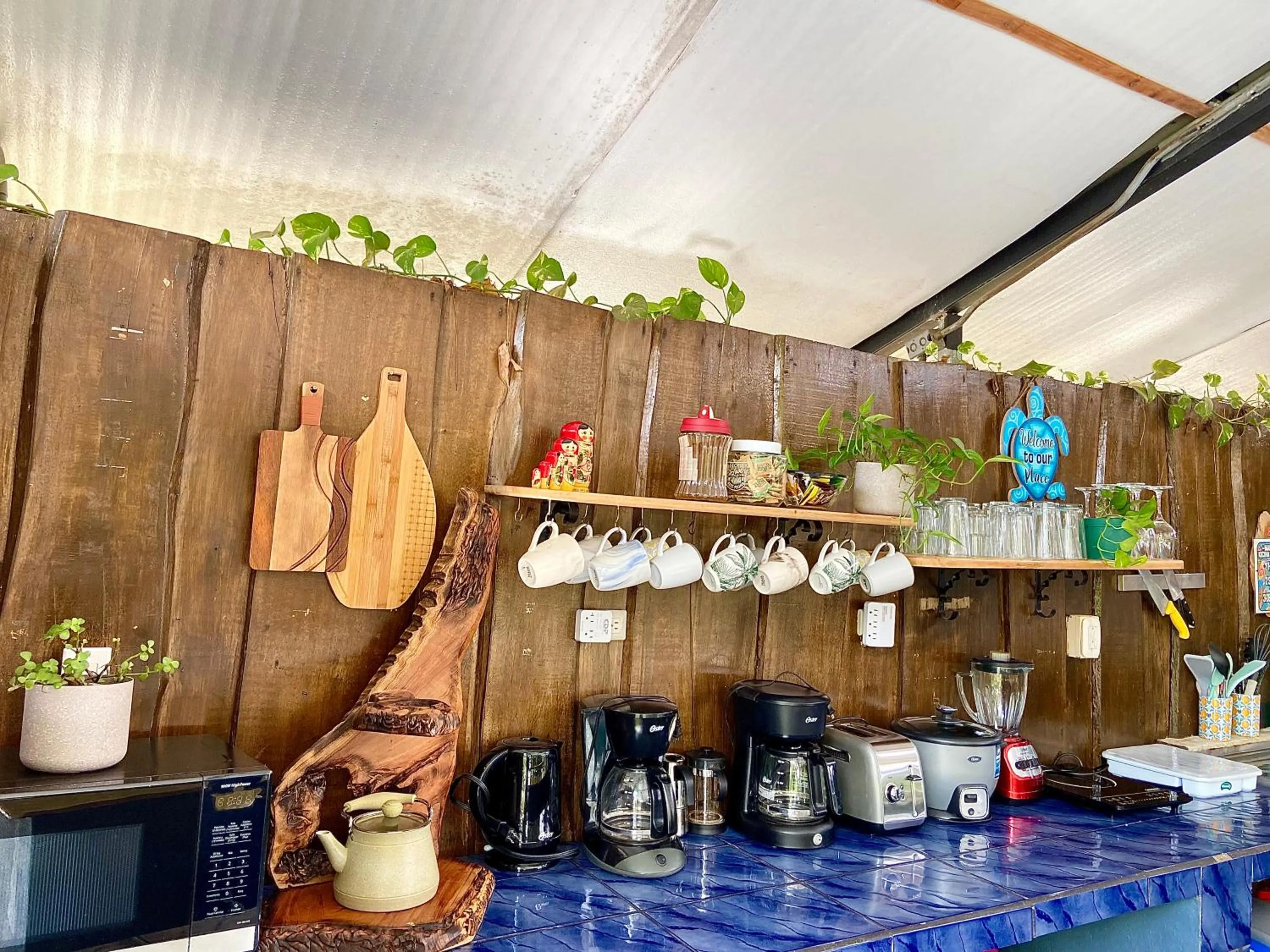 Communal kitchen in Rooms & Pool Macaws
