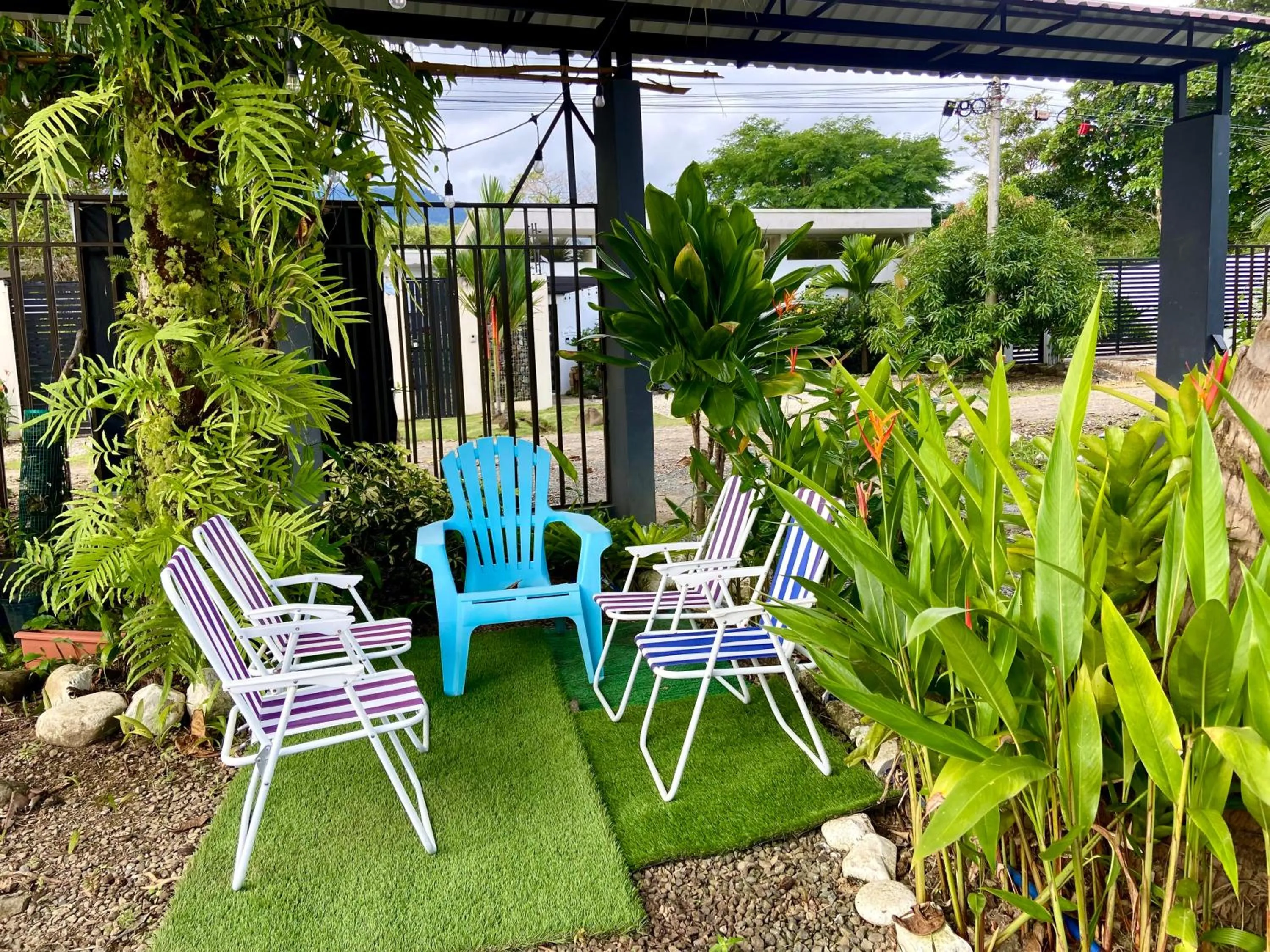 Patio in Rooms & Pool Macaws