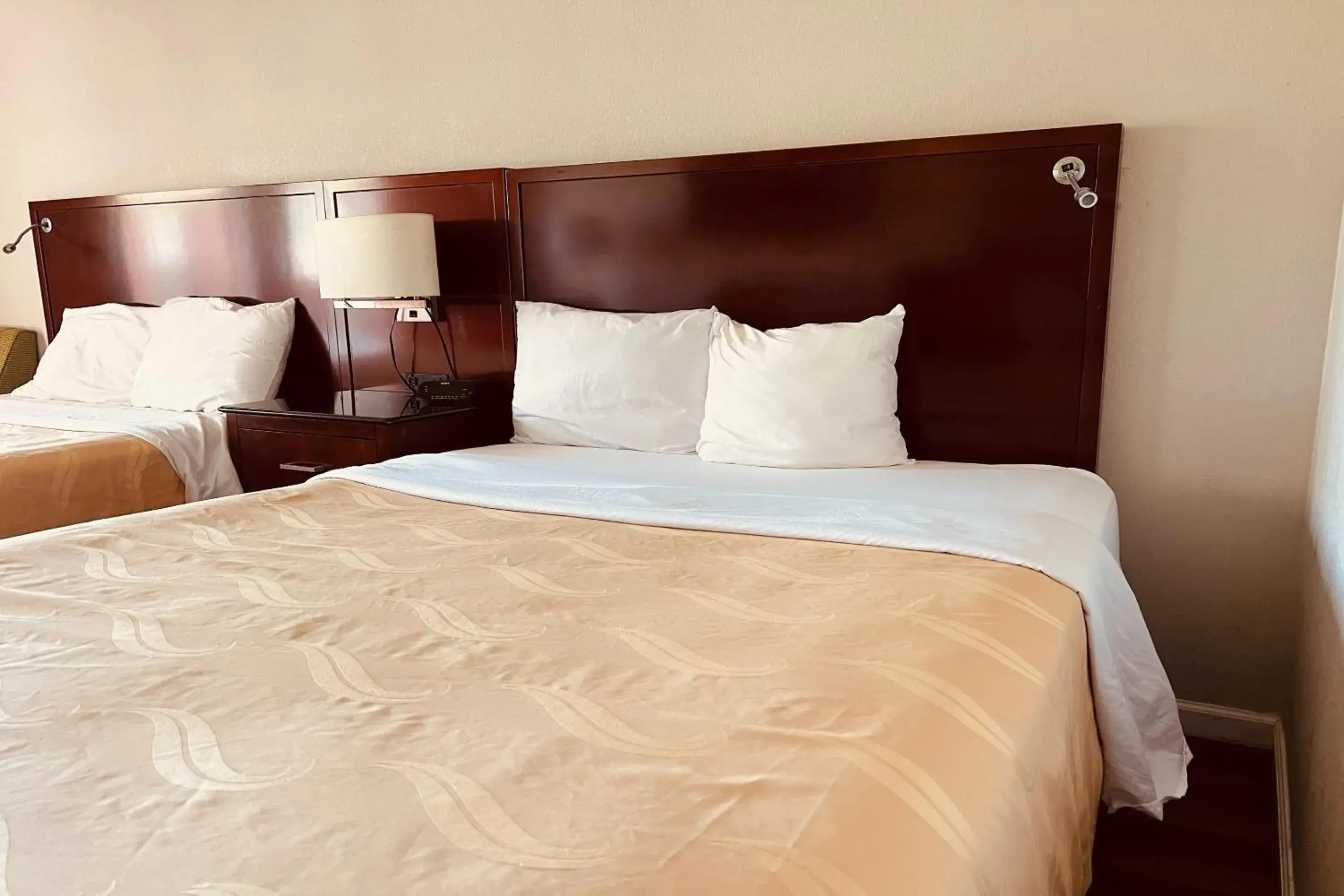 Premium Queen Bed Non-Smoking - single occupancy in Cambridge Inn Premium Queen Bed Non-Smoking - single occupancy in Cambridge Inn