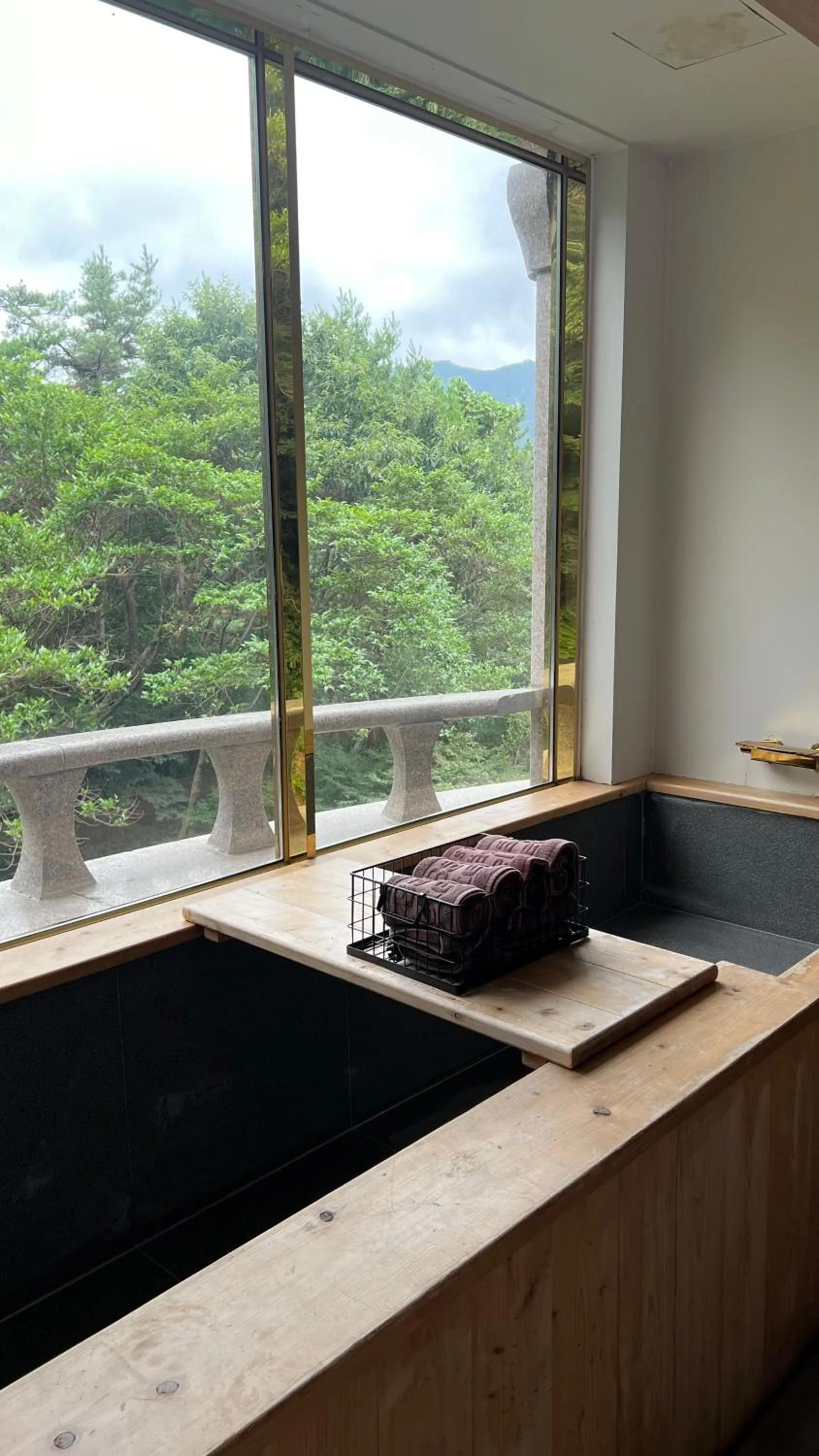 Denbasta forest Hotel