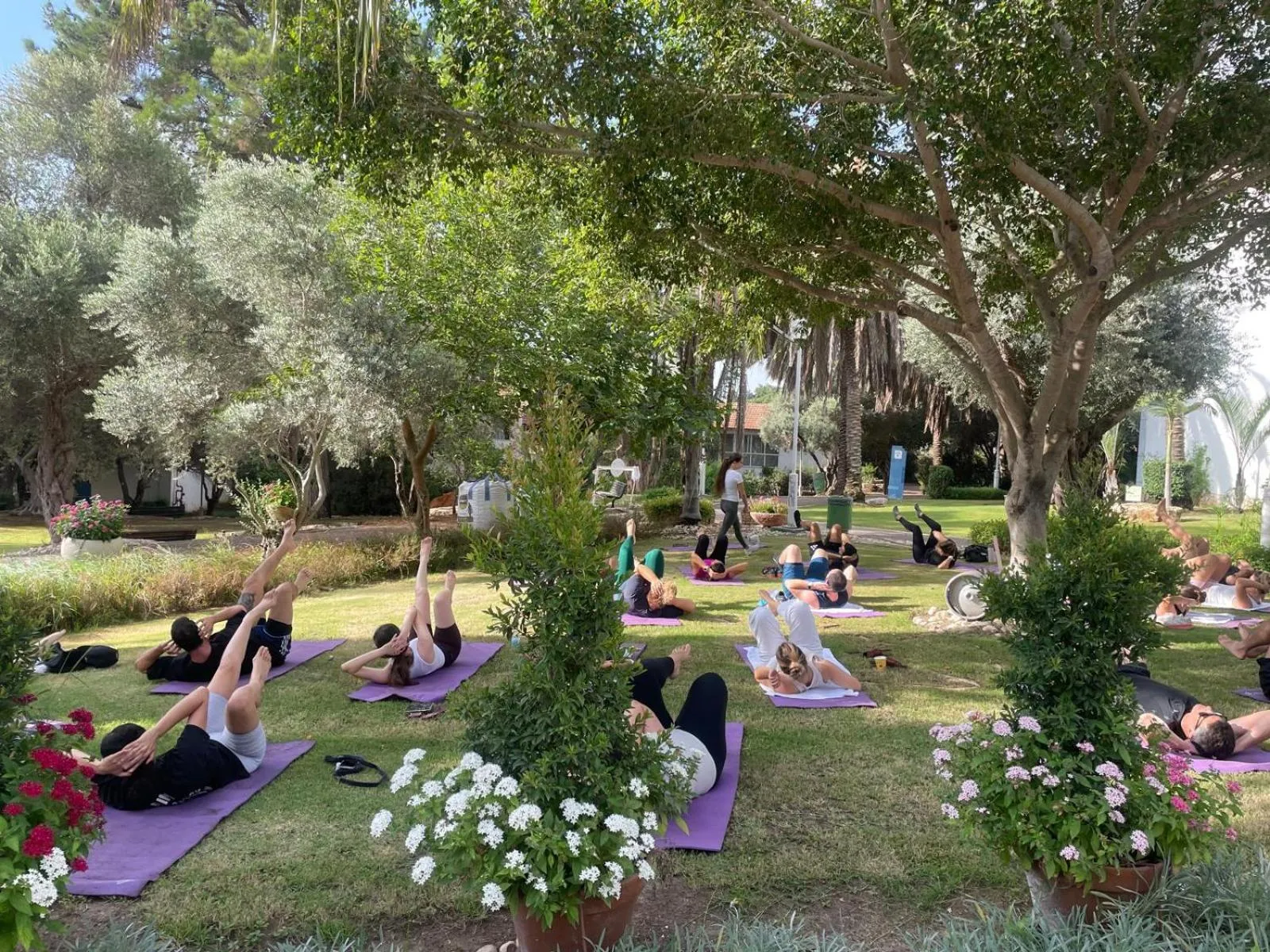 Natural landscape in Eden Inn