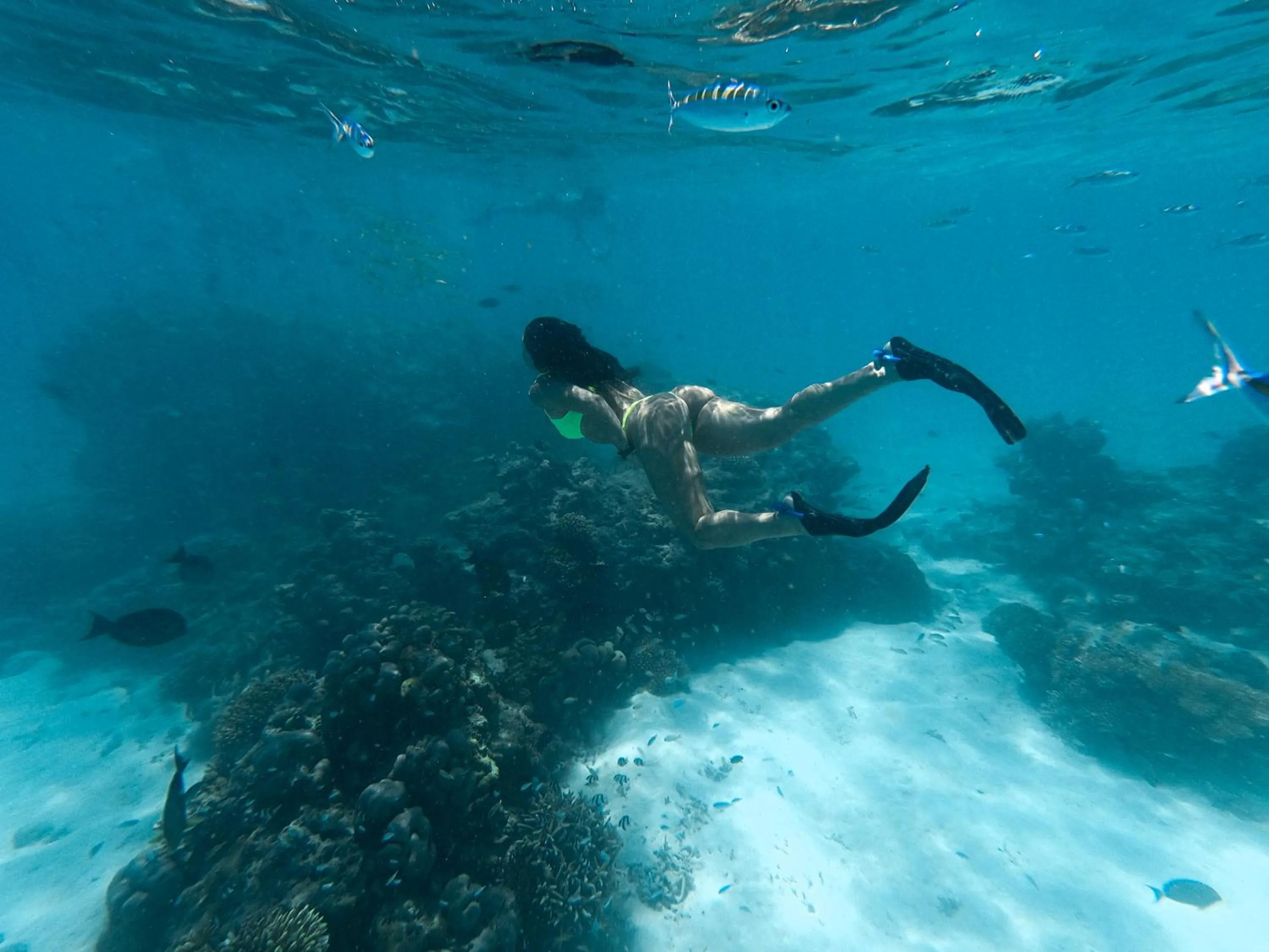 Snorkeling in Summer Vibes Beach Front