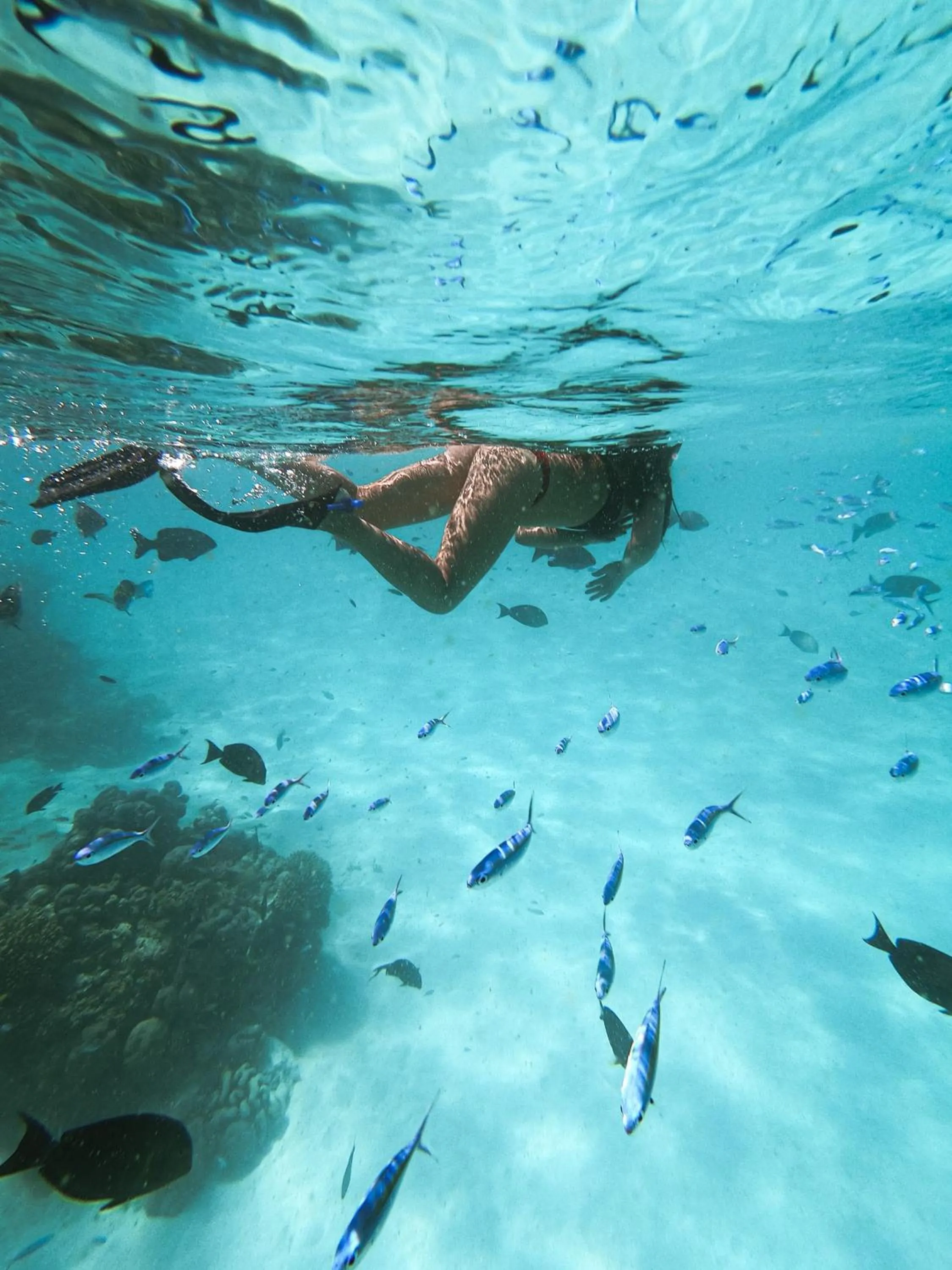 Snorkeling in Summer Vibes Beach Front