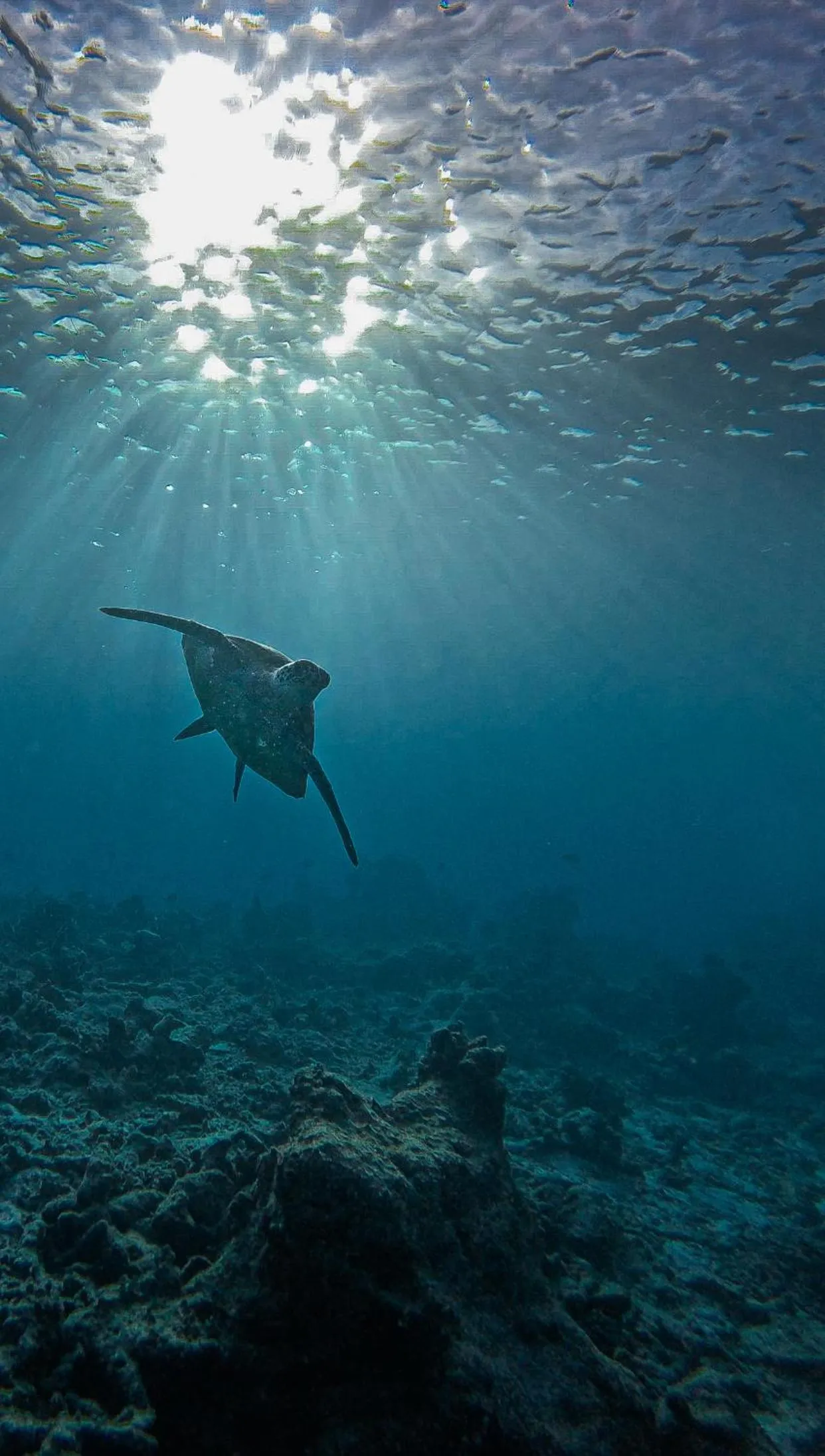People in Summer Vibes Beach Front