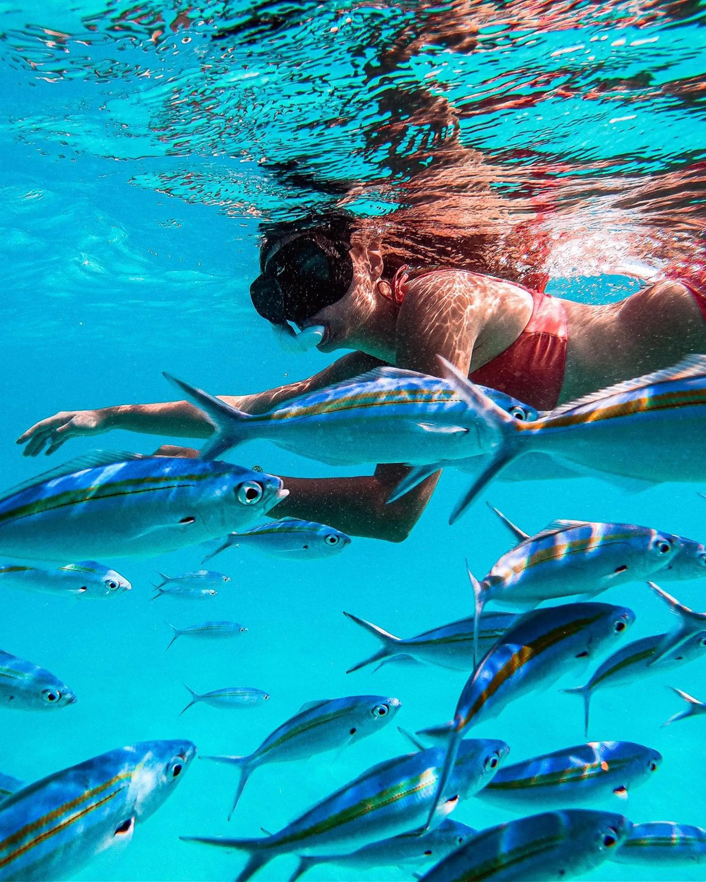Snorkeling in Summer Vibes Beach Front