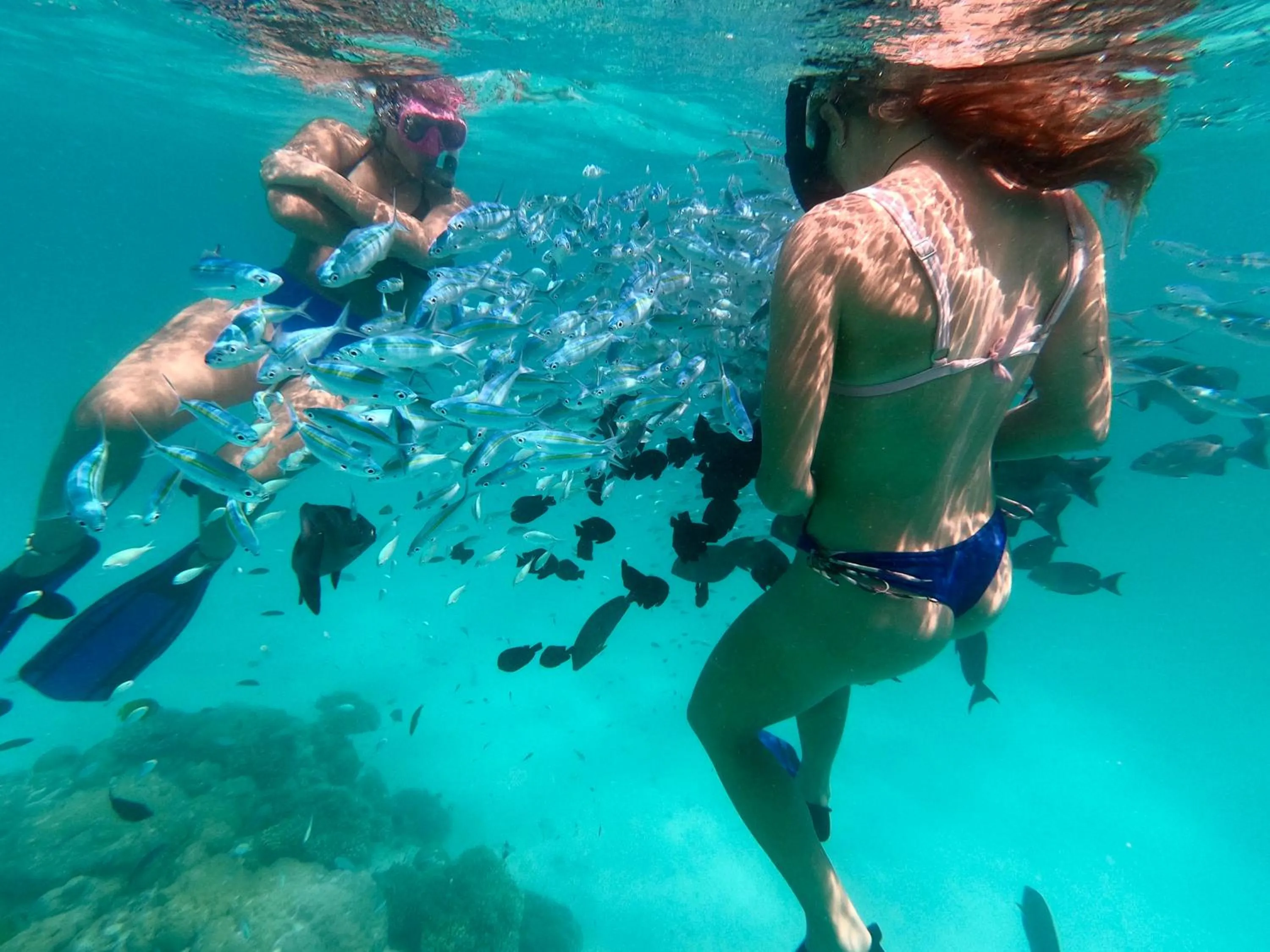 People in Summer Vibes Beach Front