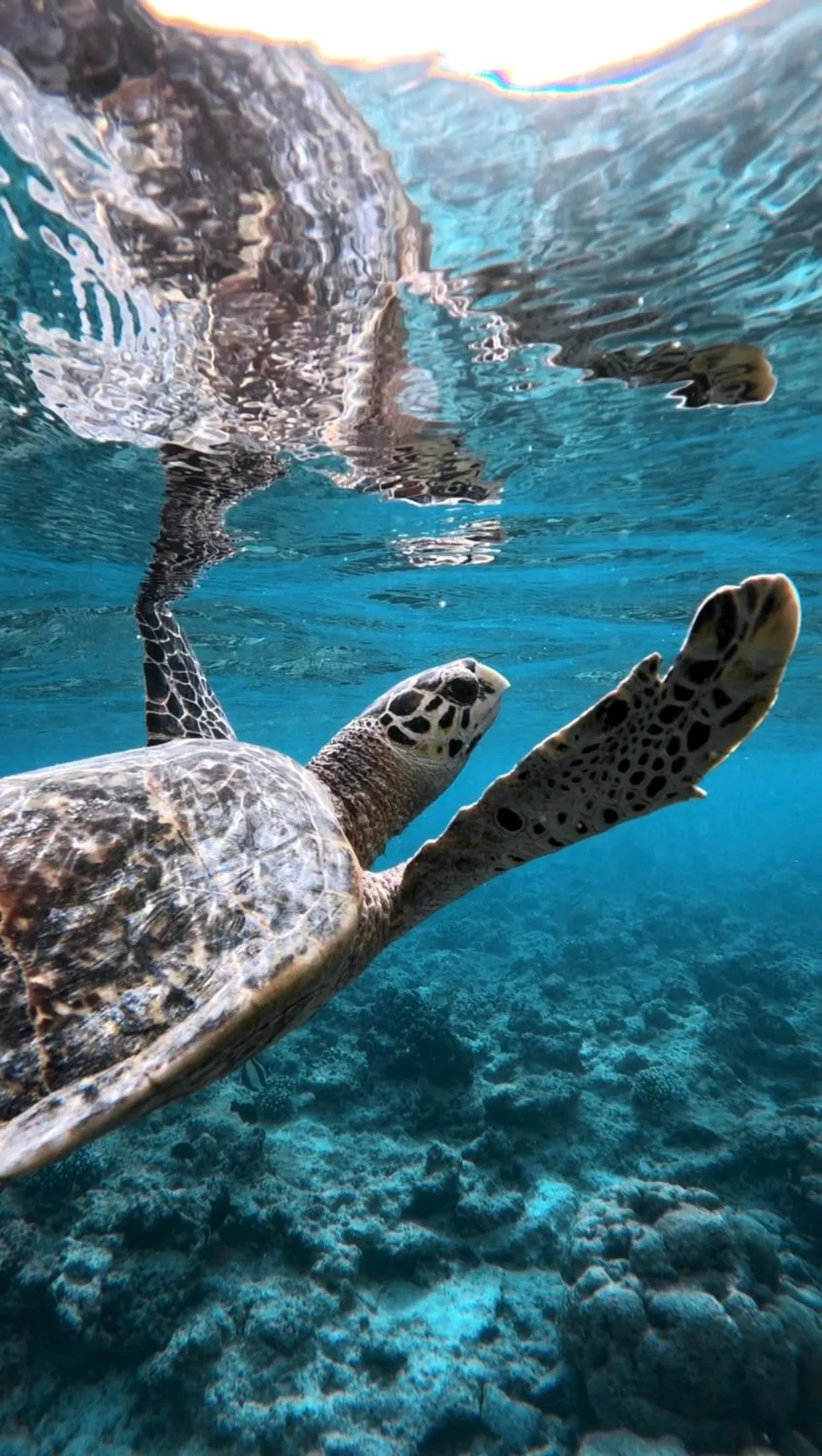 Natural landscape in Summer Vibes Beach Front