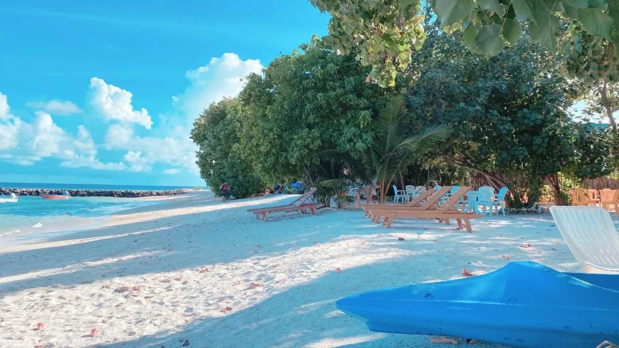 Beach in Summer Vibes Beach Front