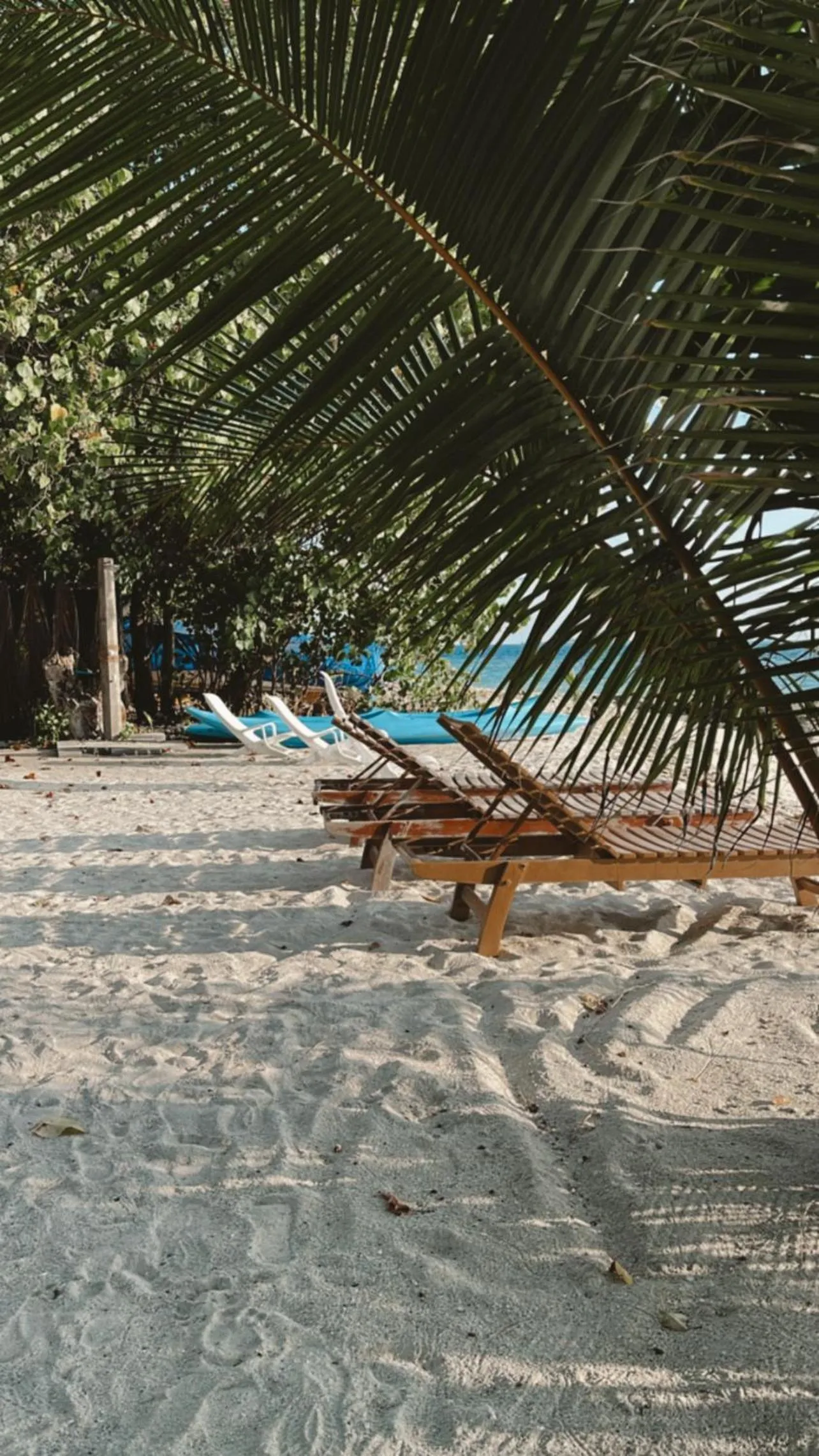 Beach in Summer Vibes Beach Front