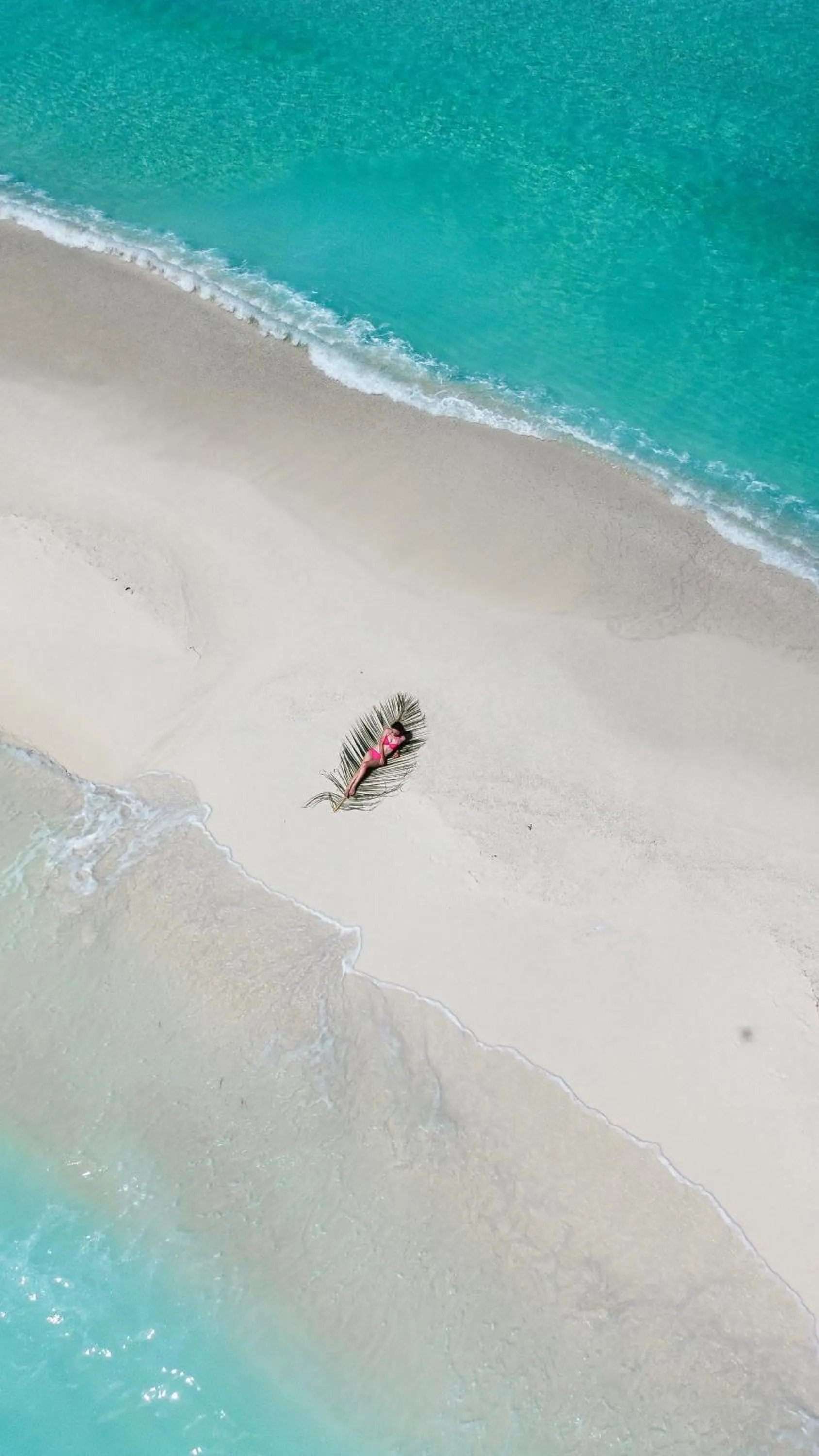 Natural landscape in Summer Vibes Beach Front