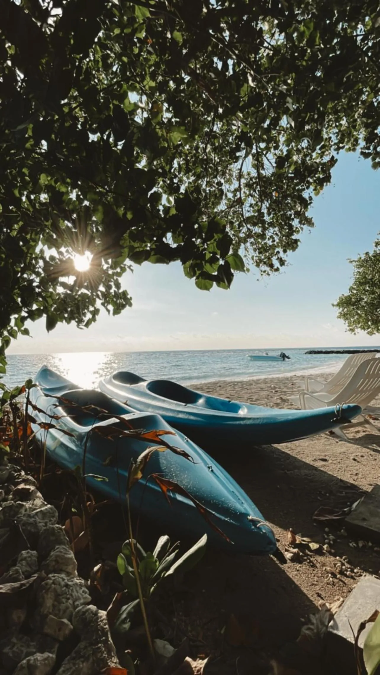 Beach in Summer Vibes Beach Front
