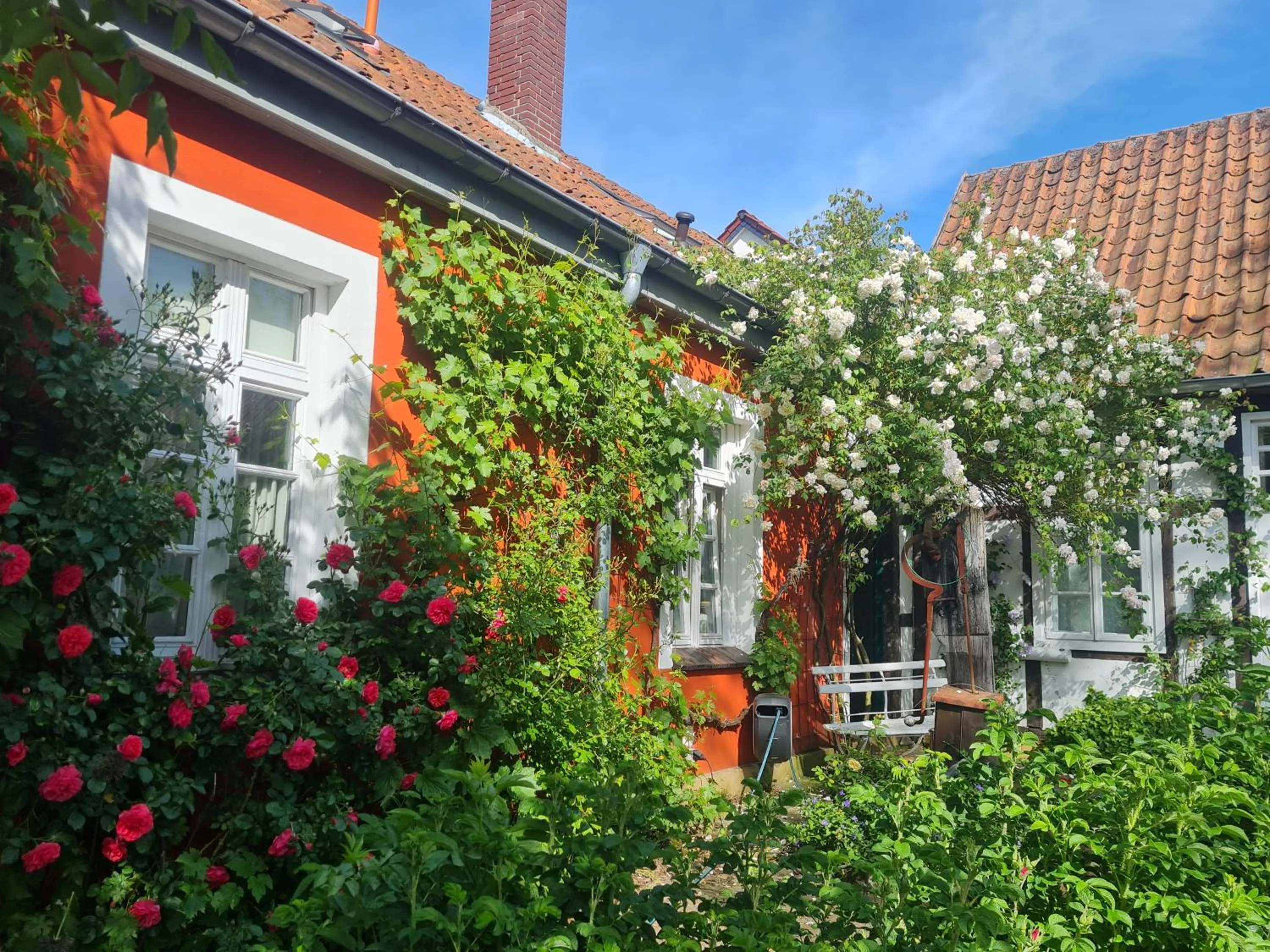 Property building in Rosindell cottage