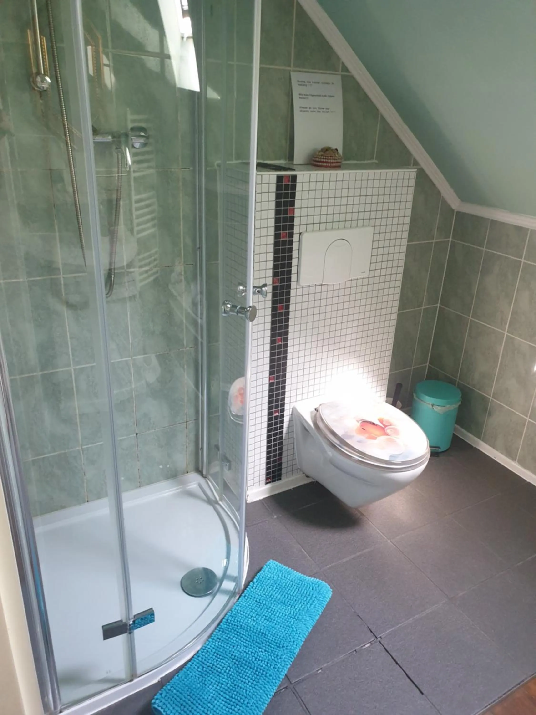 Shower in Rosindell cottage
