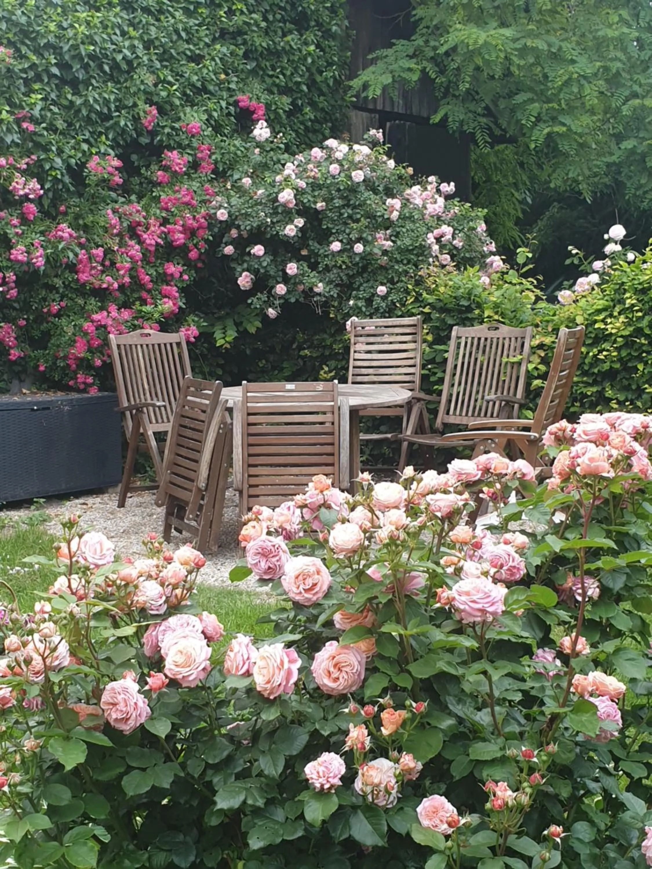 Garden in Rosindell cottage
