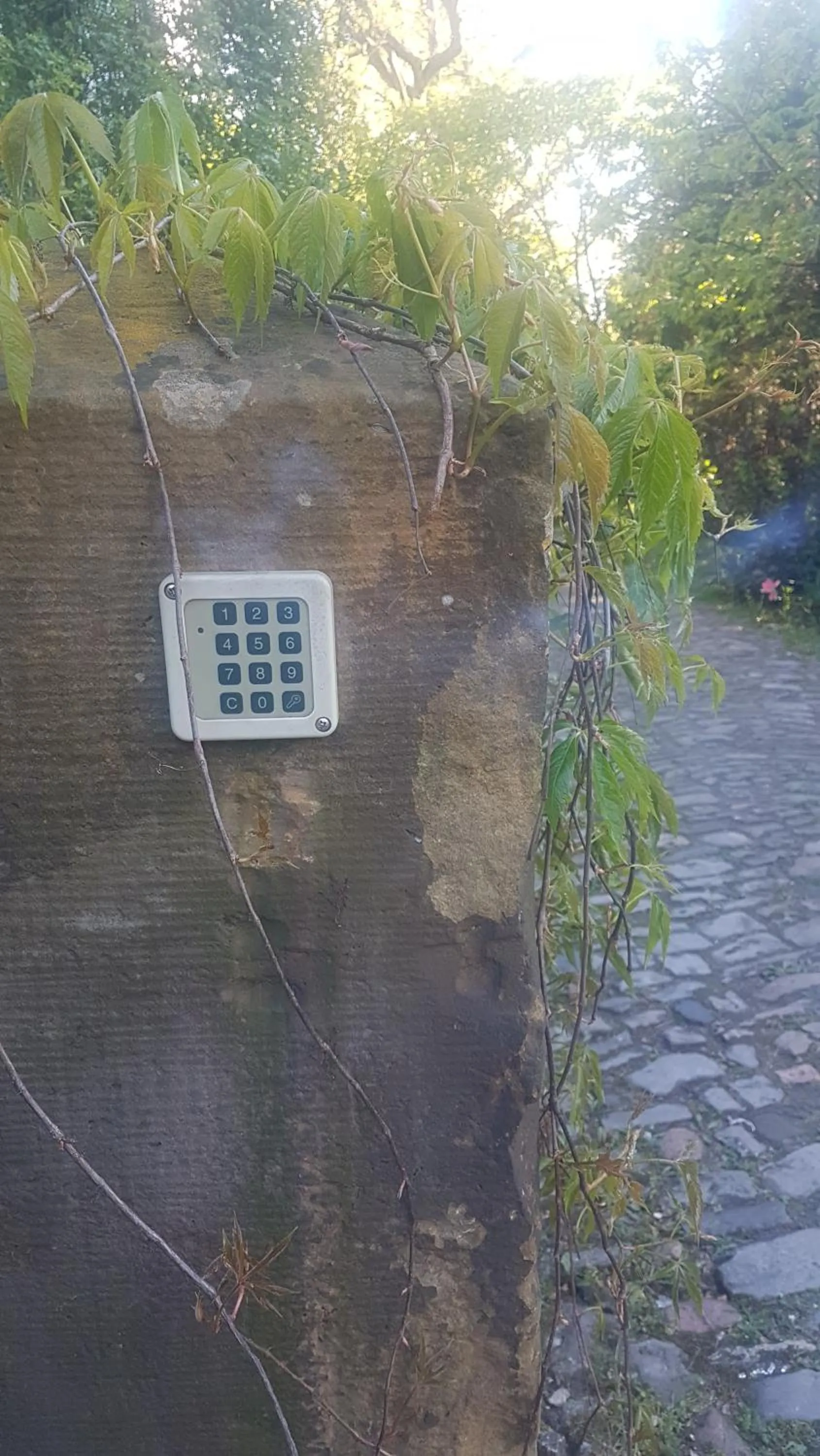 Property building in Rosindell cottage