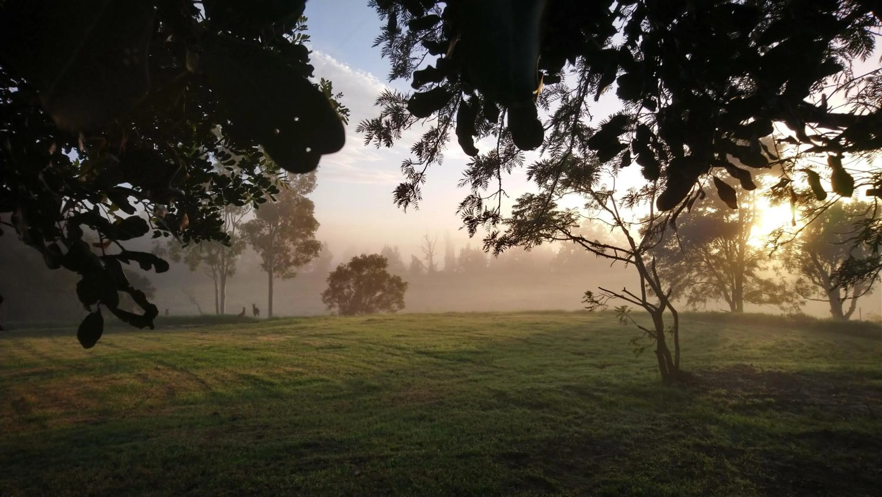 Garden in Vacy Hunter Valley Lodge