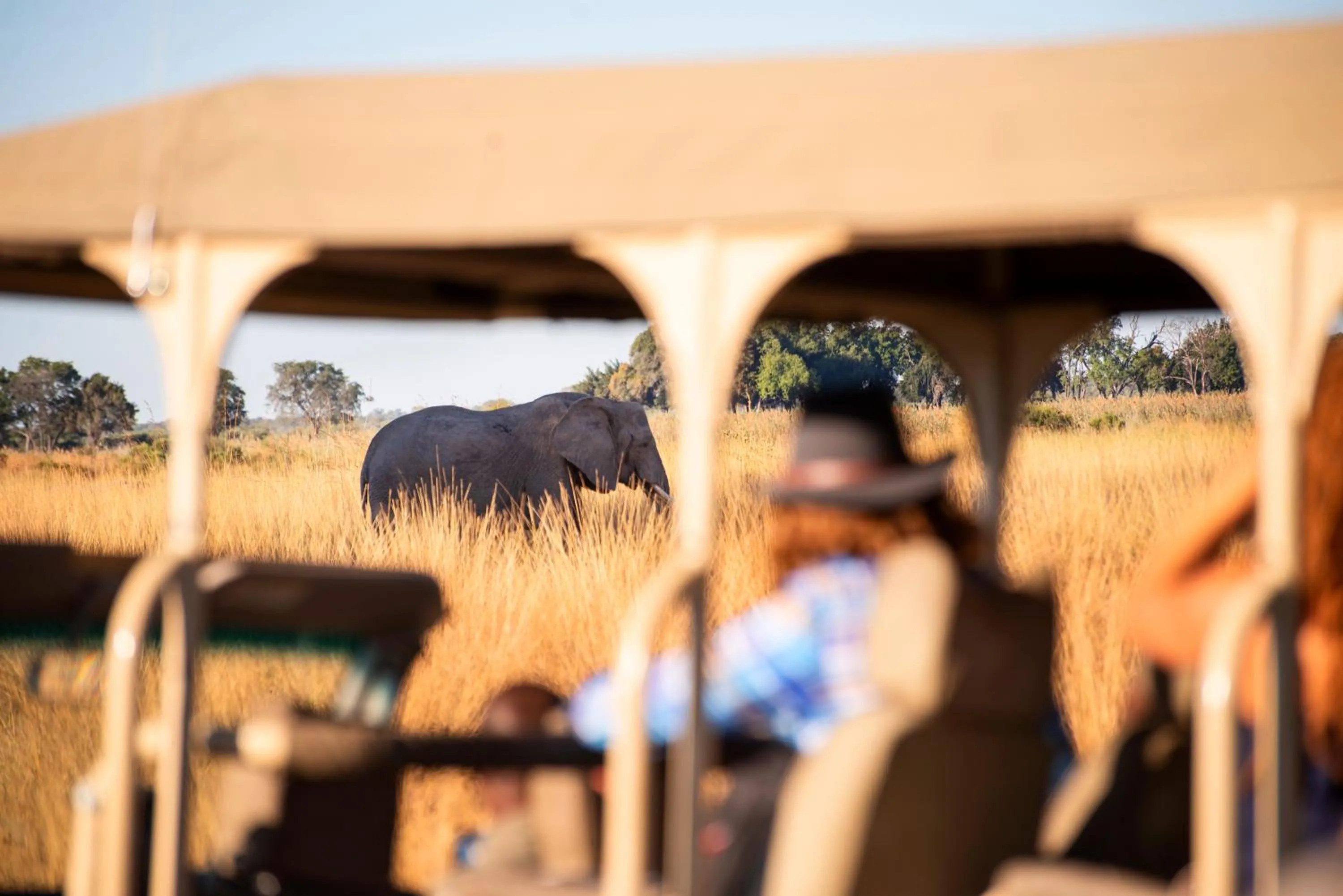 Natural landscape in Namushasha River Camping2Go