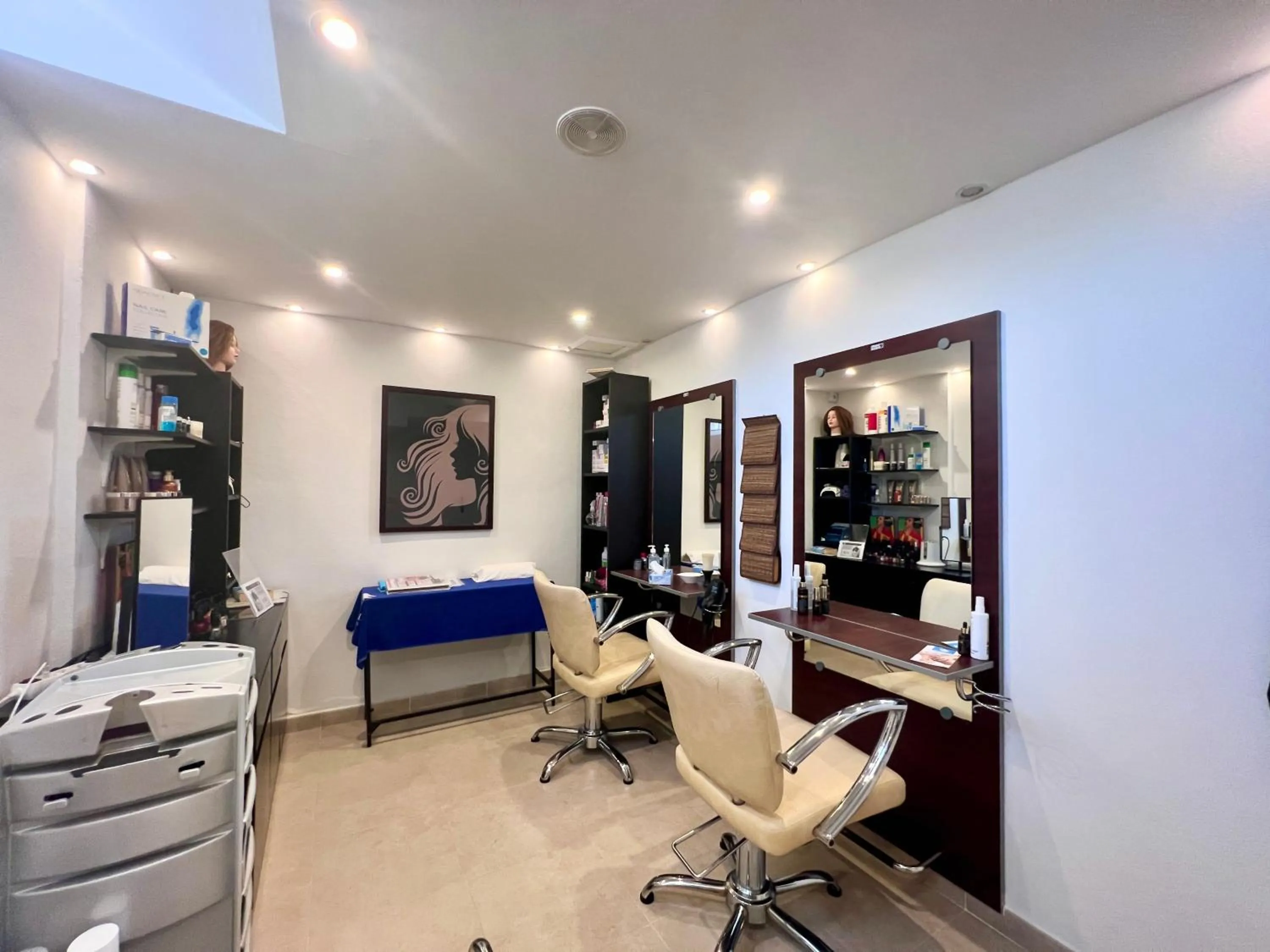 hair dryier in Wyndham Grand Costa del Sol