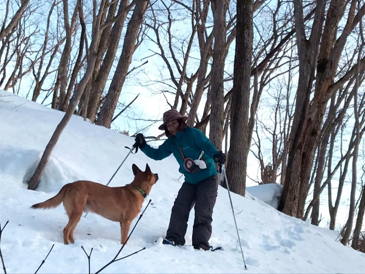 Winter in Petit Hotel Kazekozou