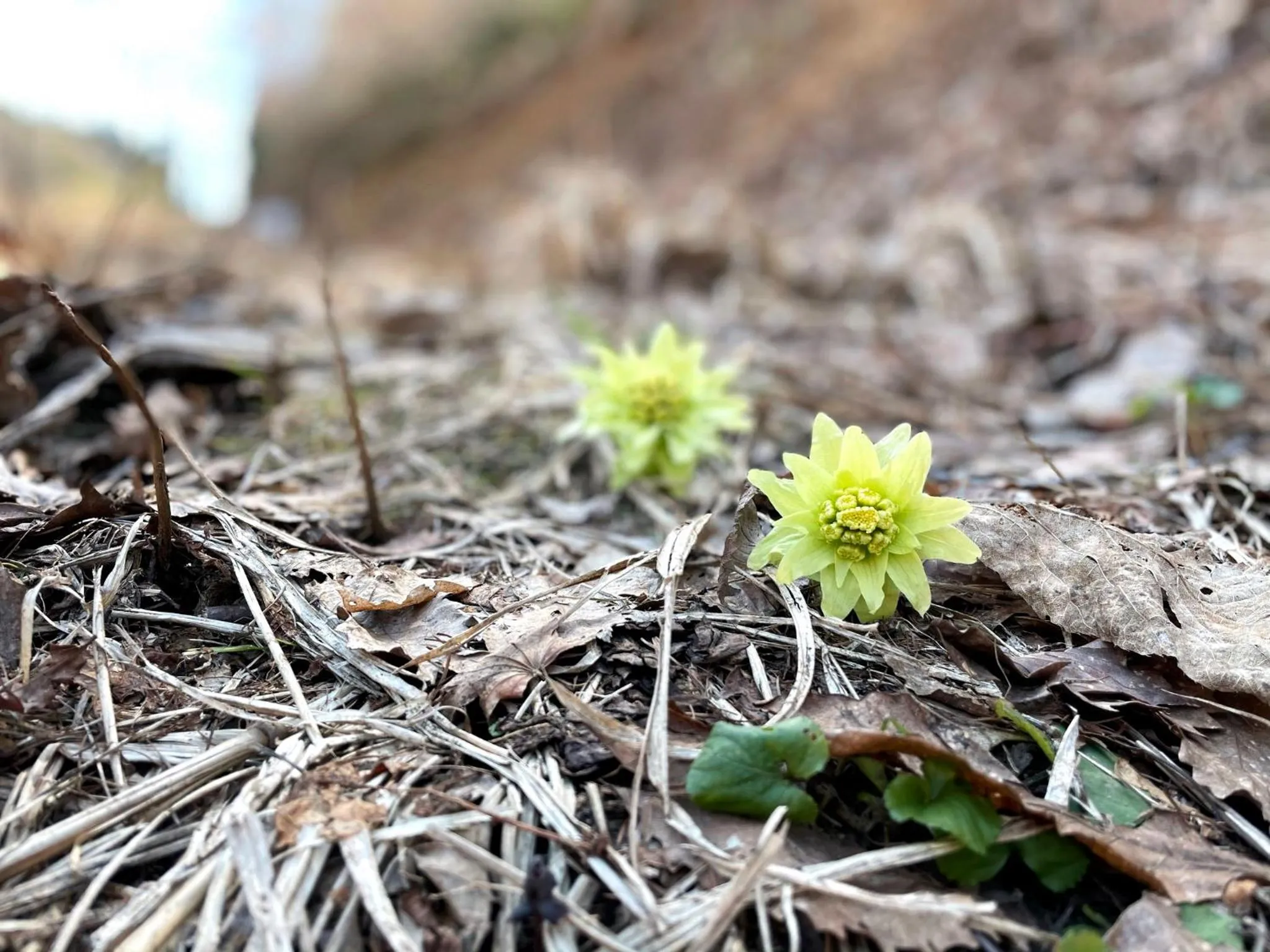Natural landscape in Petit Hotel Kazekozou