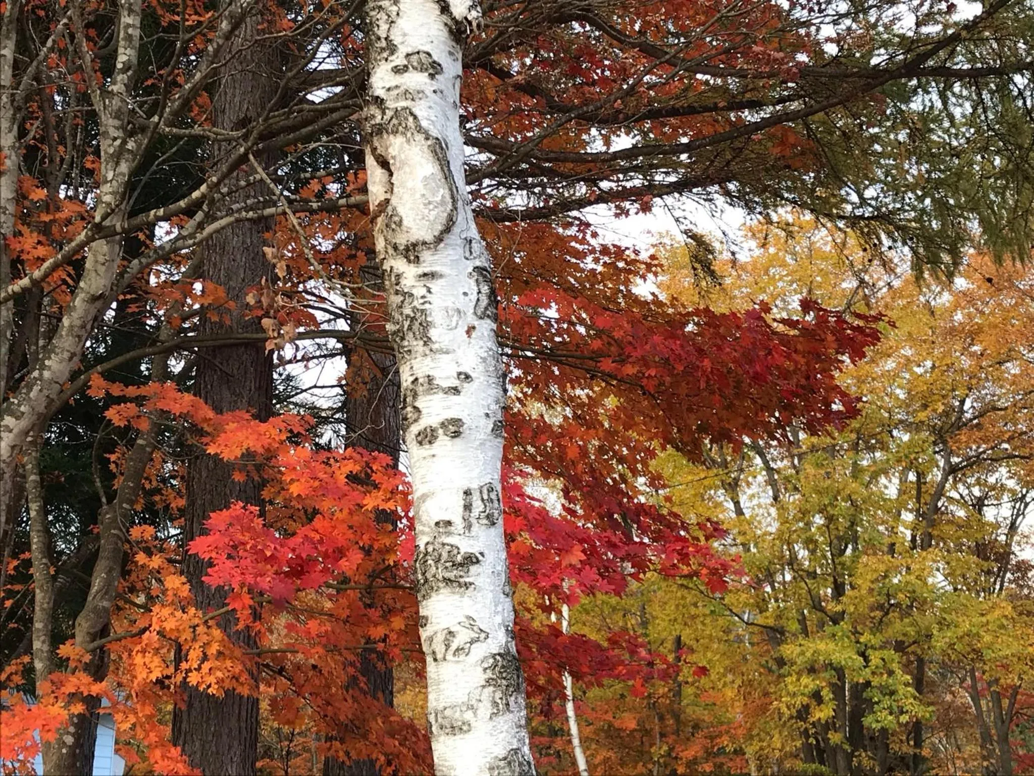 Off site in Petit Hotel Kazekozou