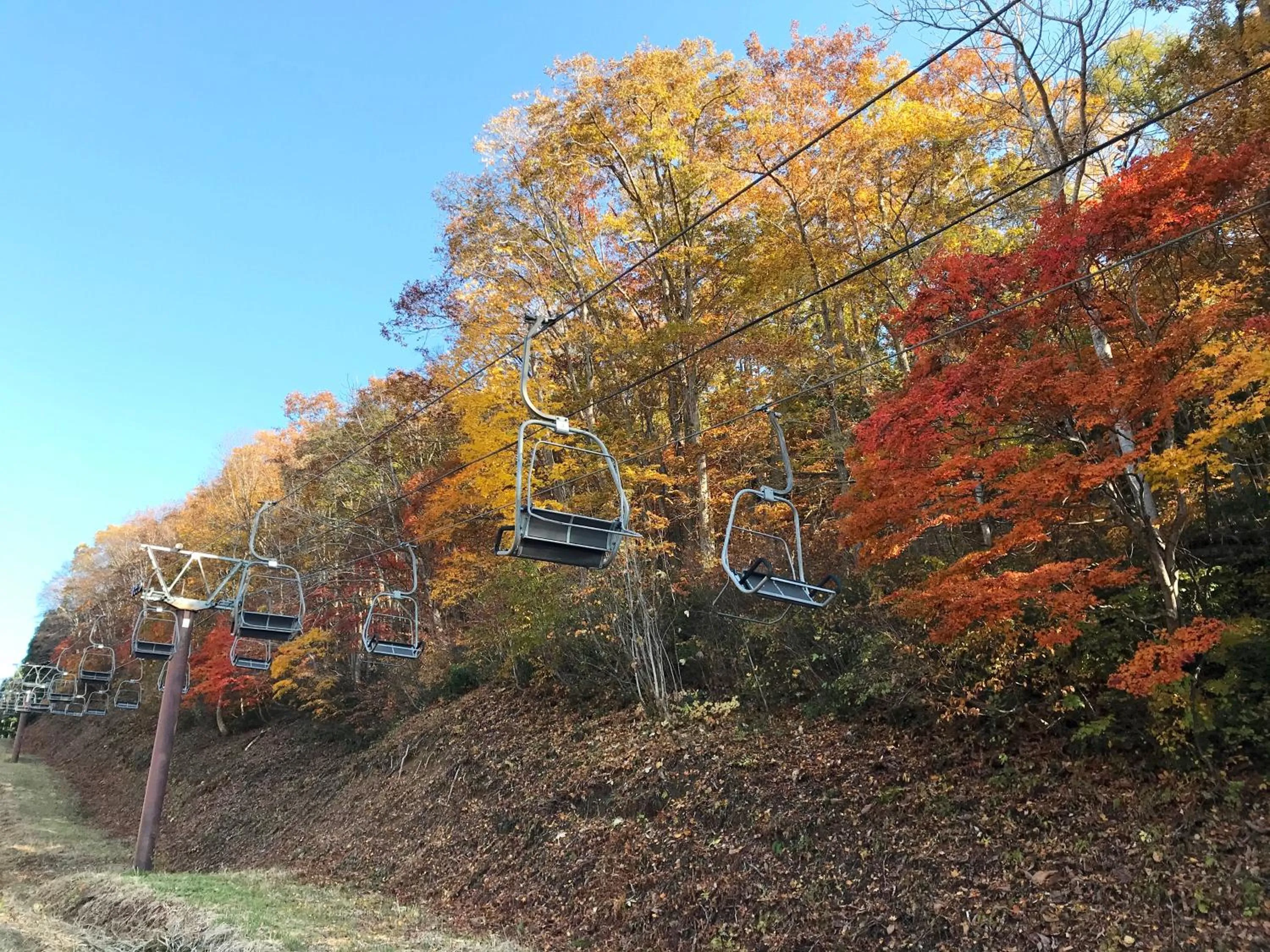 Natural landscape in Petit Hotel Kazekozou